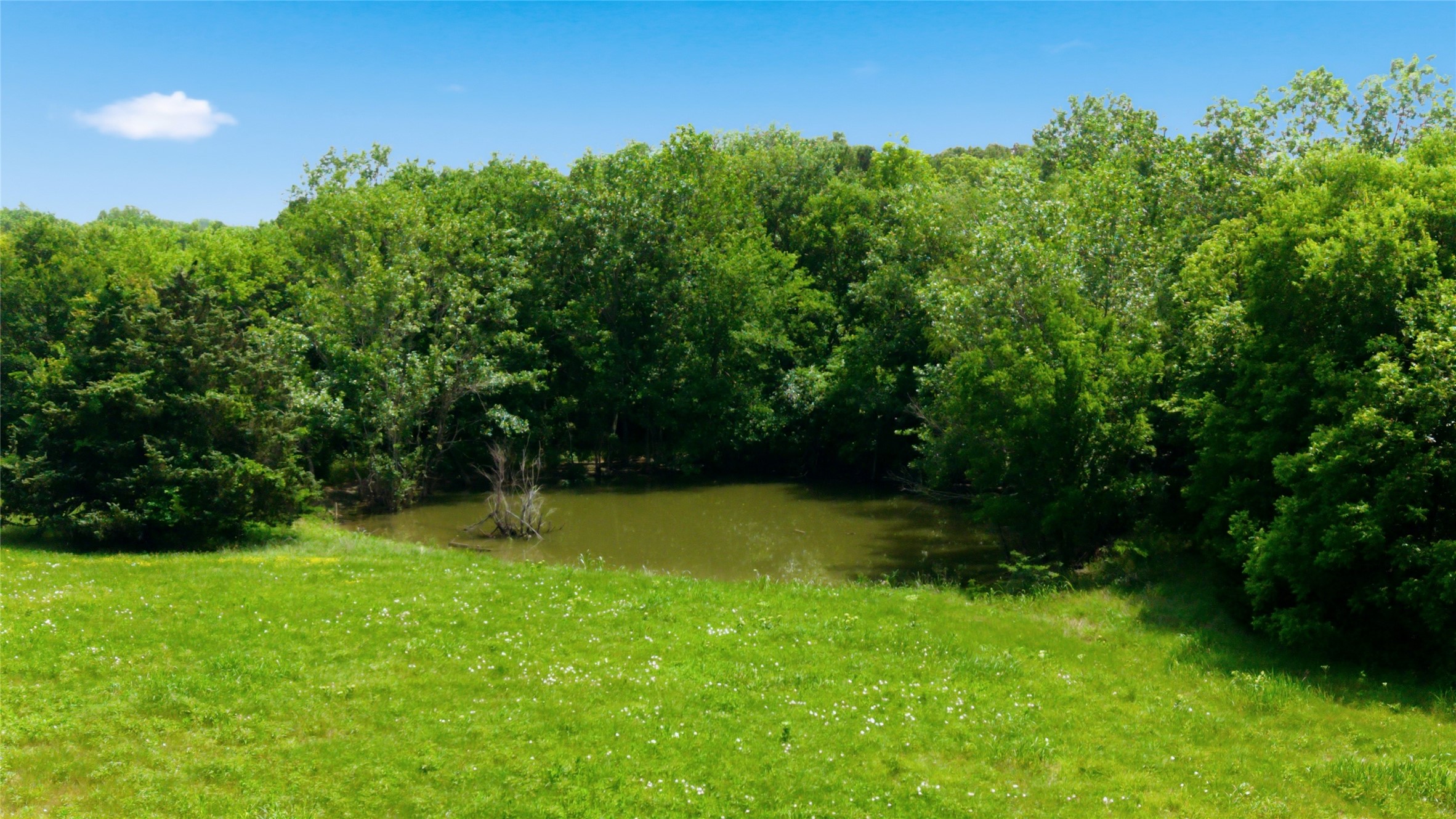 Lot 10 County Road 3401 Lone Oak TX 75453