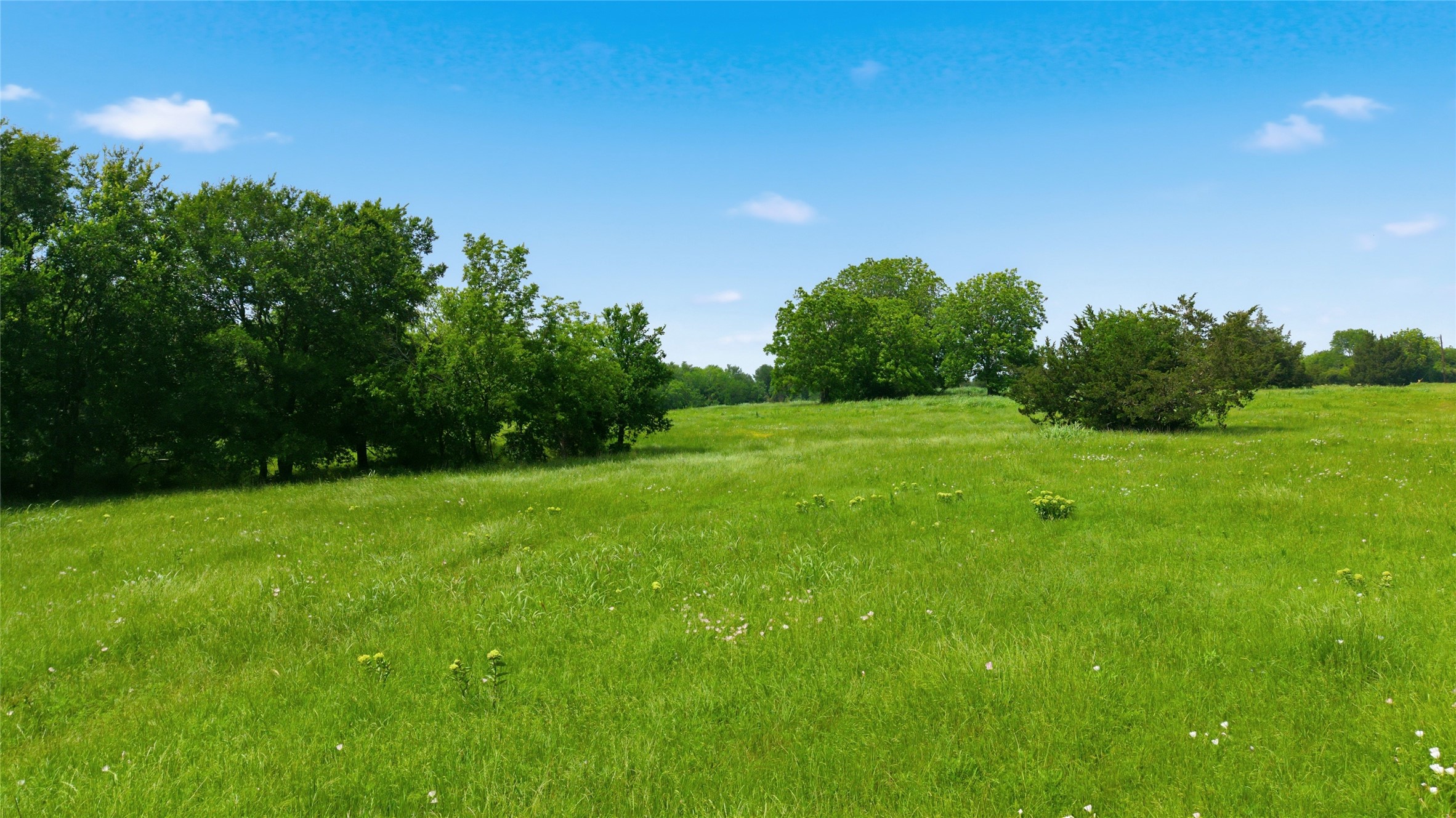 Lot 10 County Road 3401 Lone Oak TX 75453