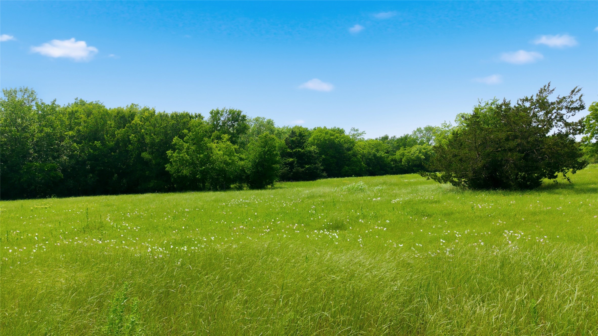 Lot 10 County Road 3401 Lone Oak TX 75453
