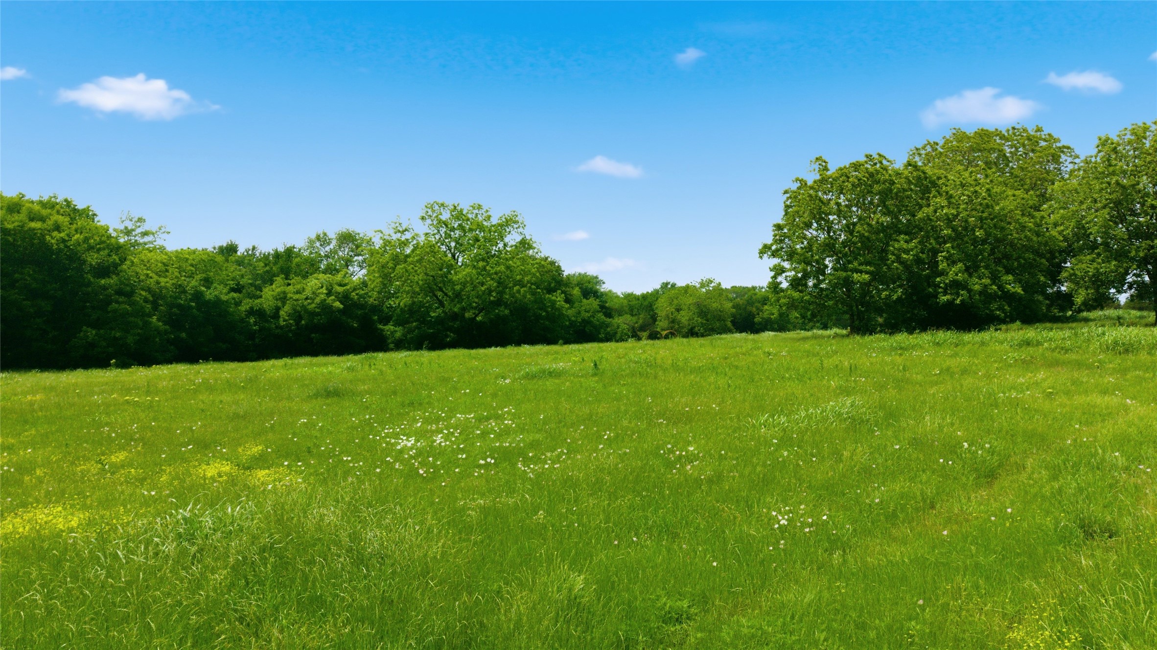 Lot 10 County Road 3401 Lone Oak TX 75453