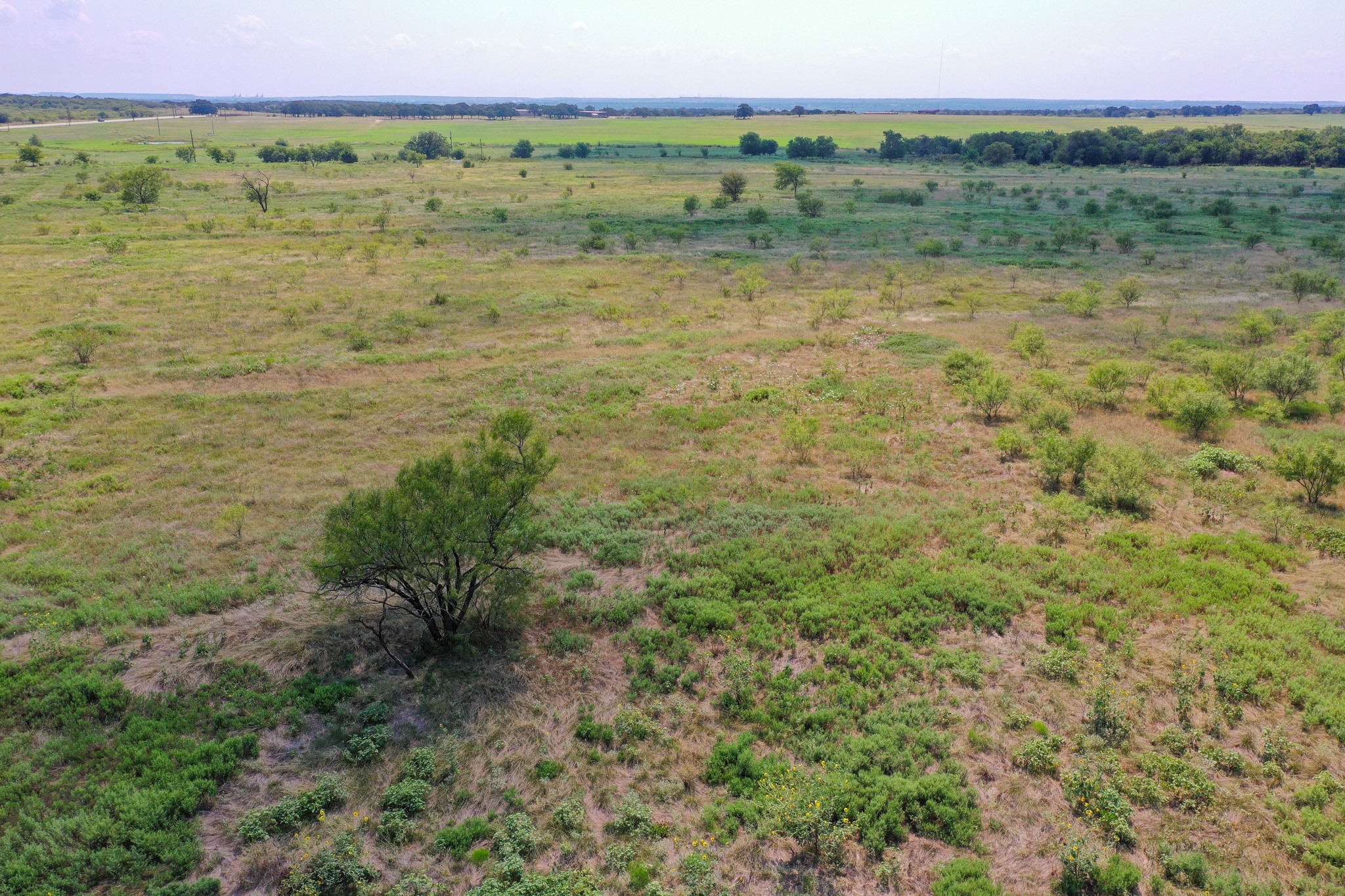 29.56 Acres Ballard Road Jacksboro TX 76458