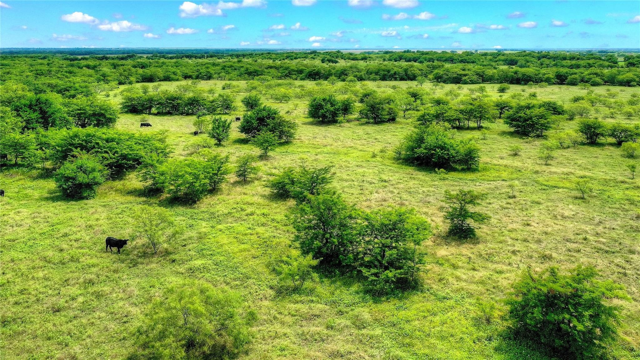 Tbd 13.846 Acres Winn Road Collinsville TX 76233