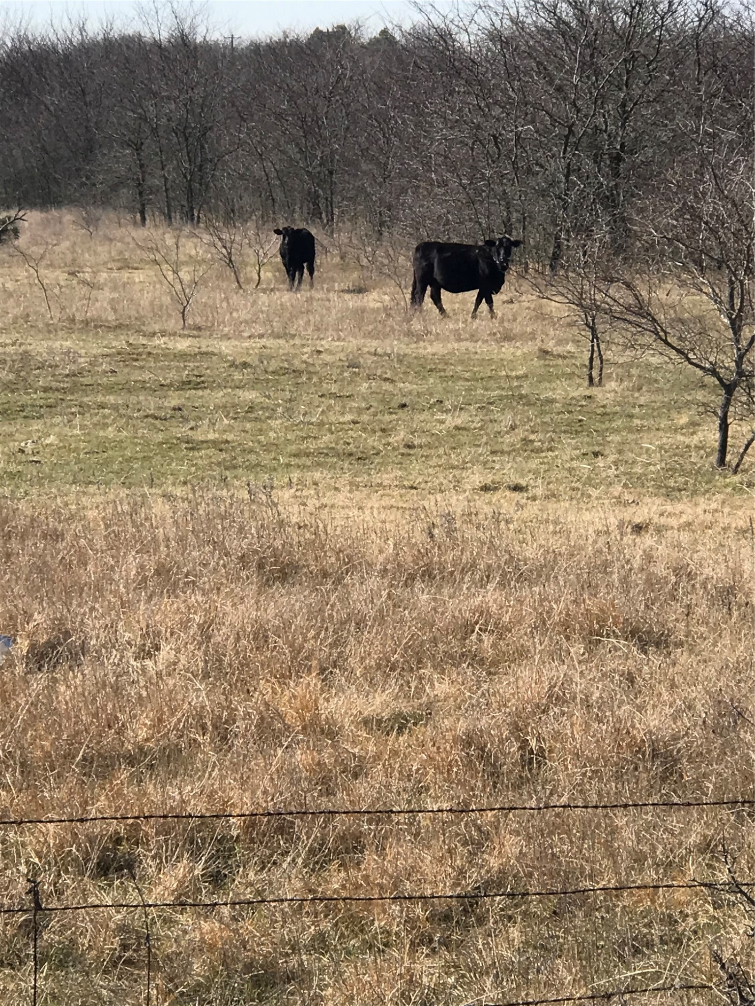 Tbd 13.846 Acres Winn Road Collinsville TX 76233