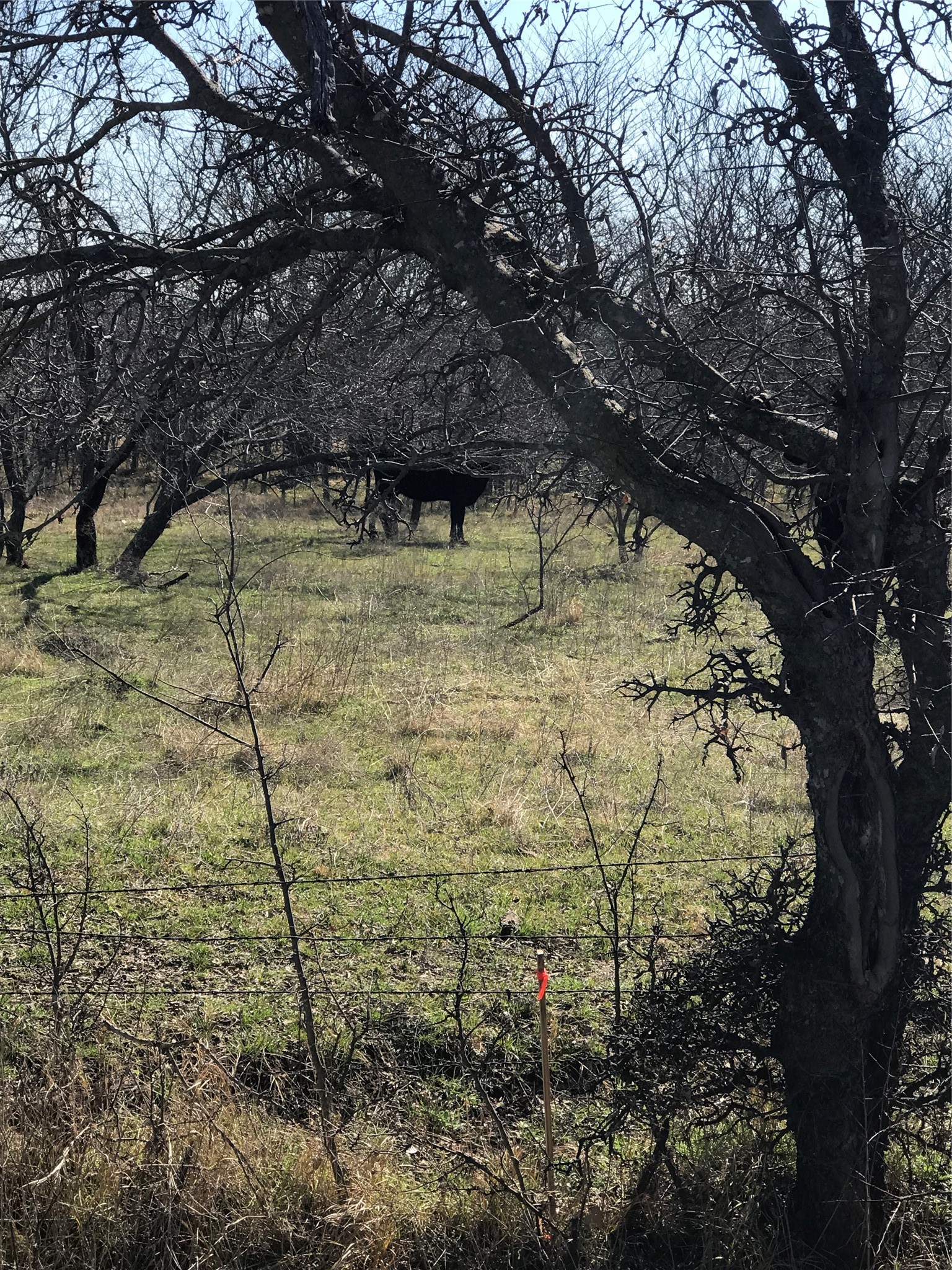 Tbd 13.846 Acres Winn Road Collinsville TX 76233