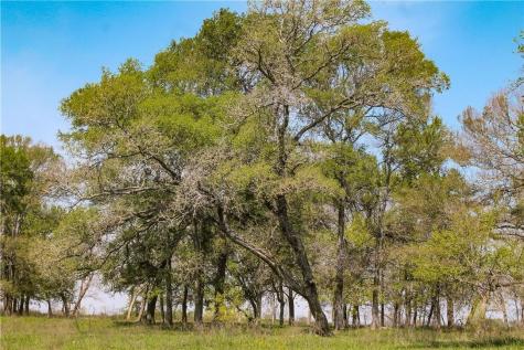 Tbd Cr 151 Riesel TX 76682