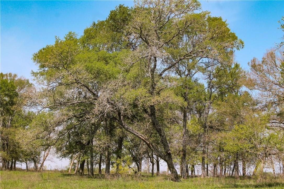 Tbd Cr 151 Riesel TX 76682