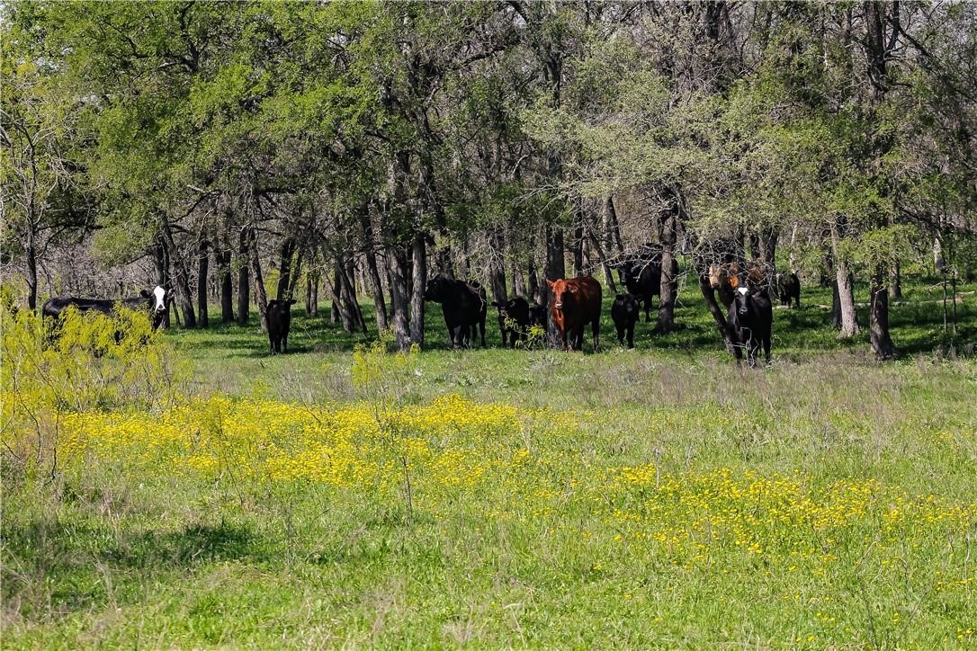Tbd Cr 151 Riesel TX 76682