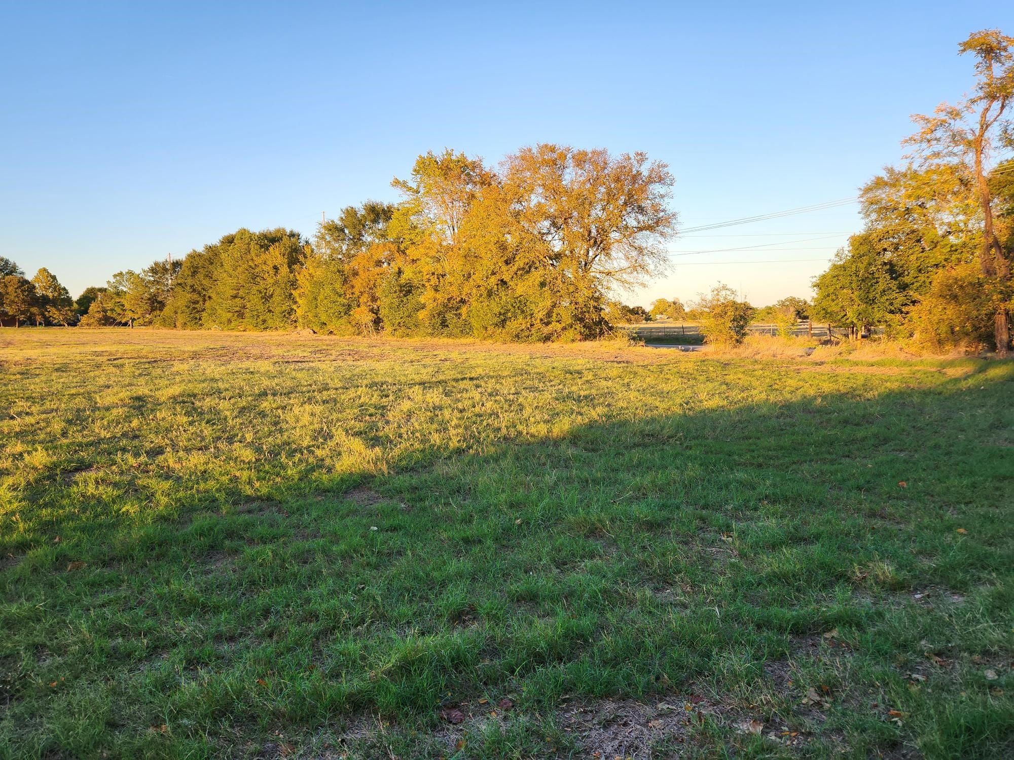 0 County Road 2813 Eustace TX 75124