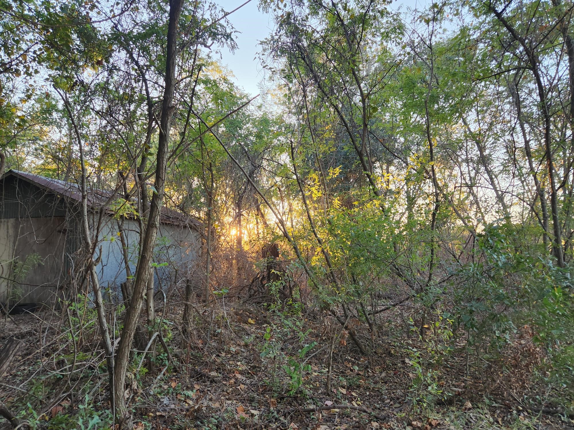 0 County Road 2813 Eustace TX 75124