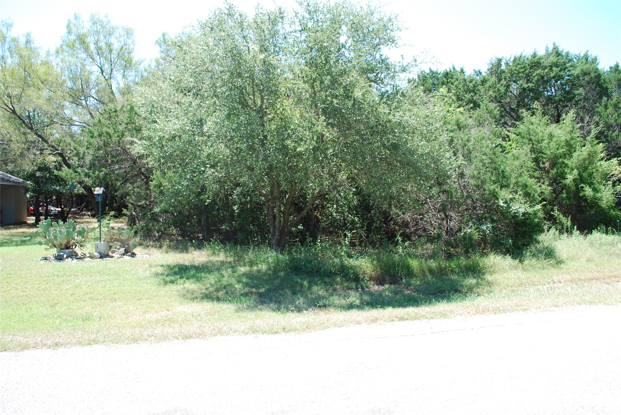 44155 Whisperwood Drive Whitney TX 76692