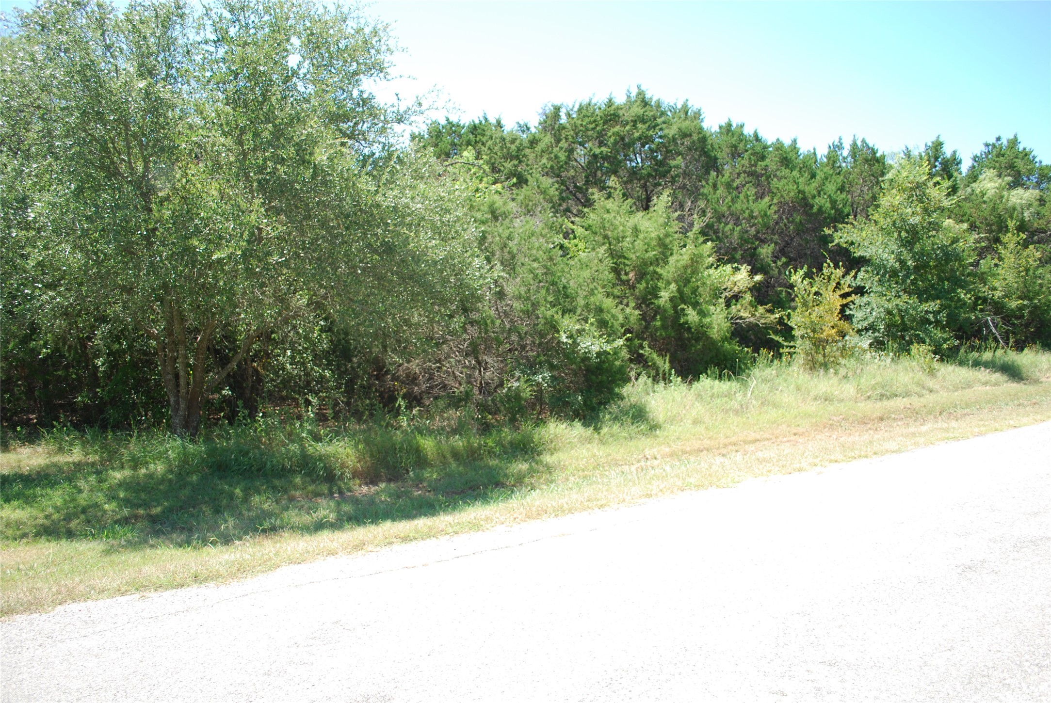 44155 Whisperwood Drive Whitney TX 76692