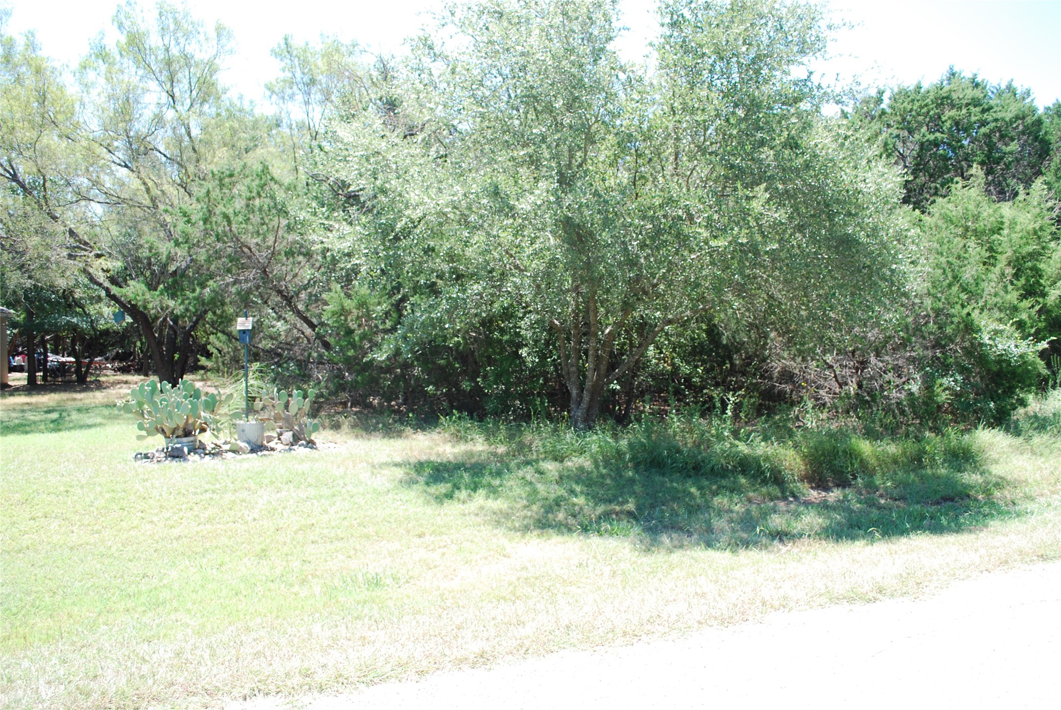 44155 Whisperwood Drive Whitney TX 76692