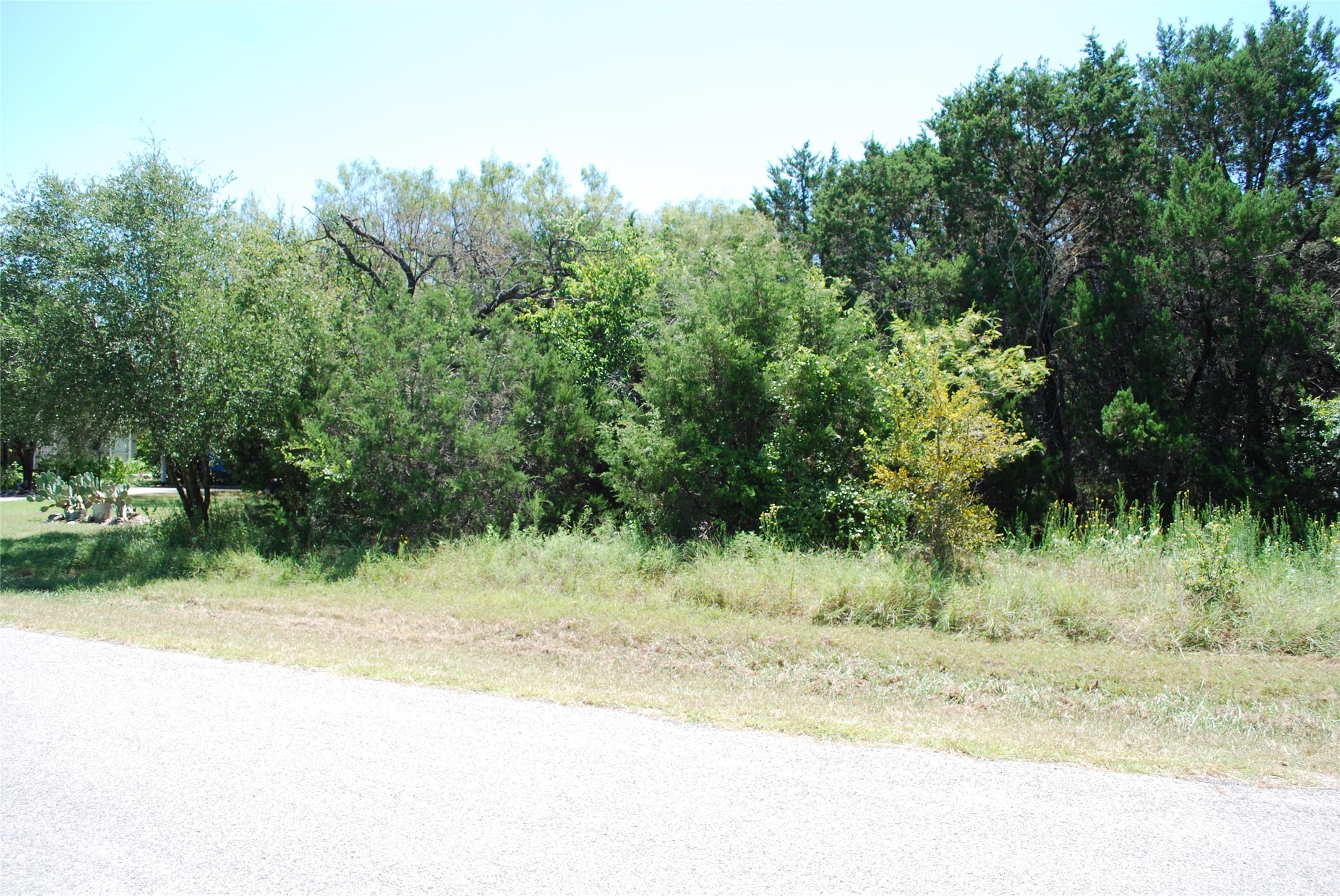 44155 Whisperwood Drive Whitney TX 76692