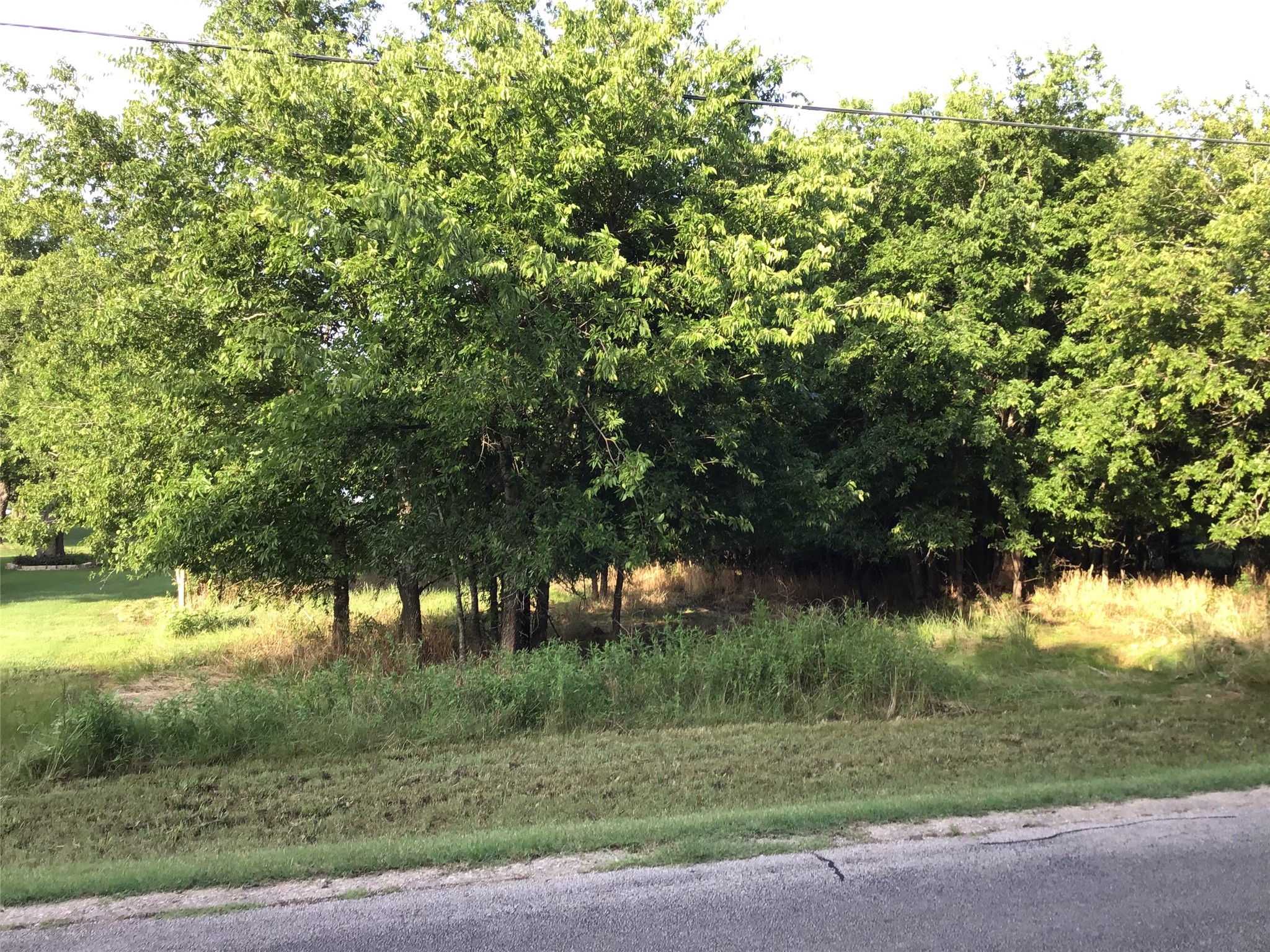 44155 Whisperwood Drive Whitney TX 76692