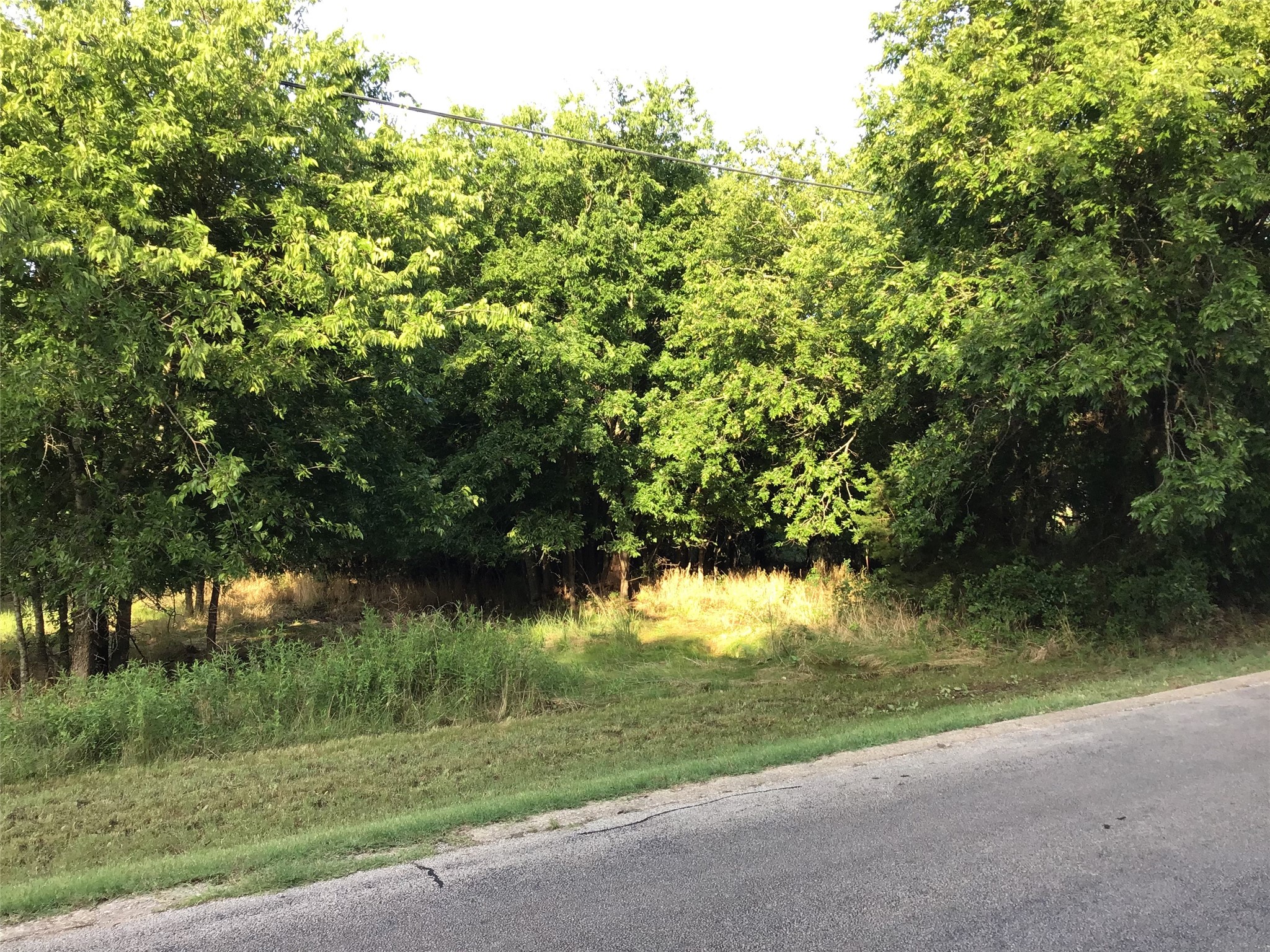44155 Whisperwood Drive Whitney TX 76692