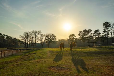 1002 Private Road 7892 Mineola TX 75773