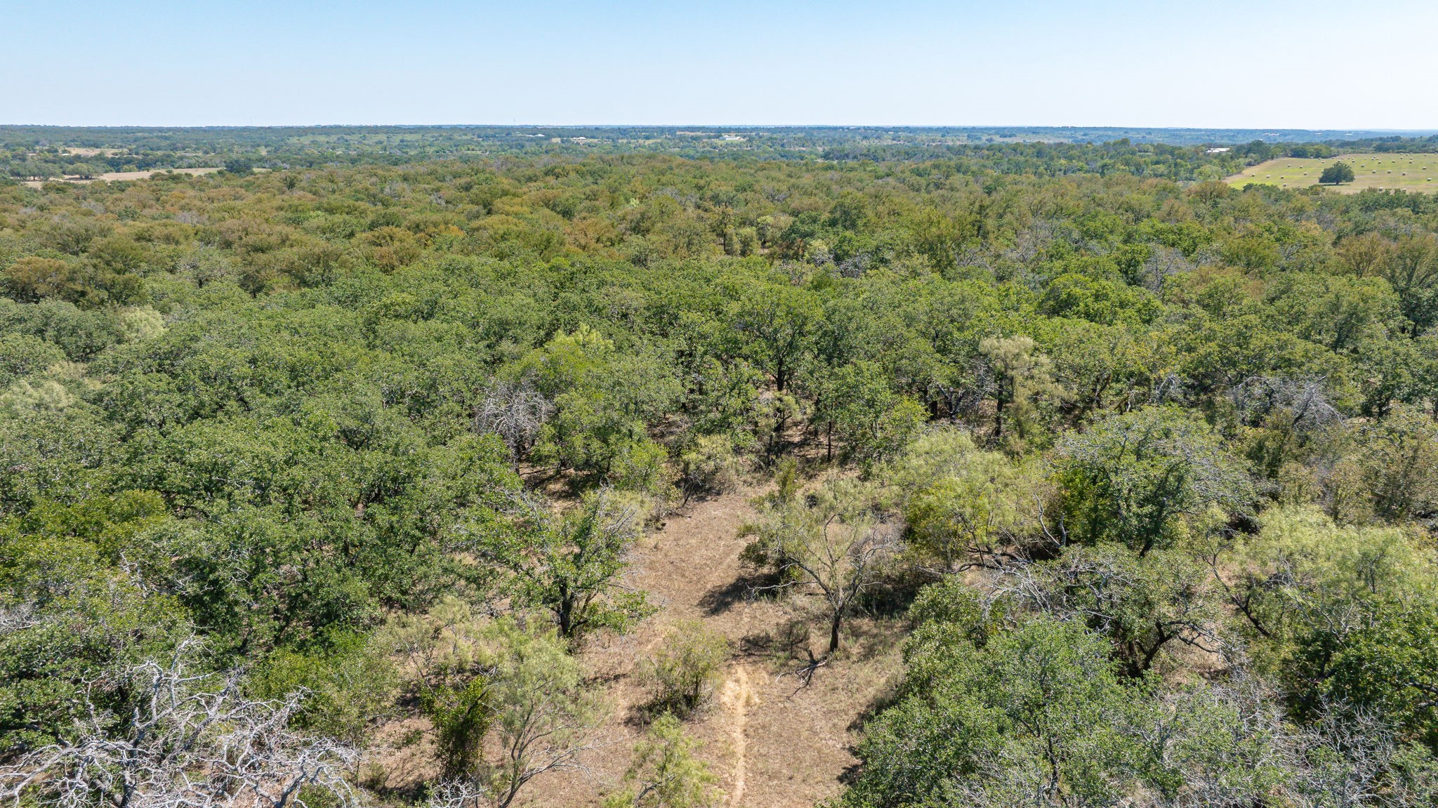 9815 County Road 401 Dublin TX 76446