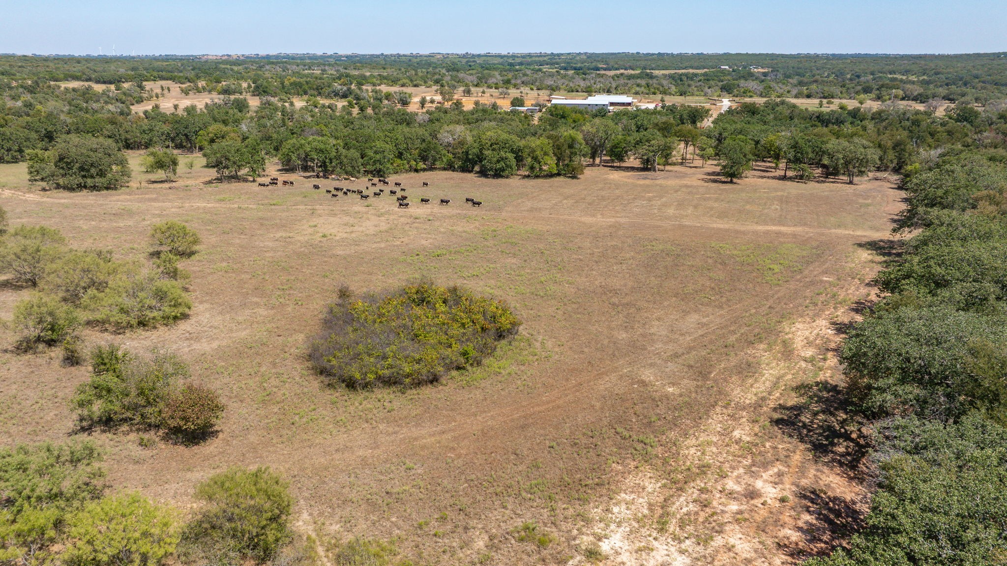 9815 County Road 401 Dublin TX 76446