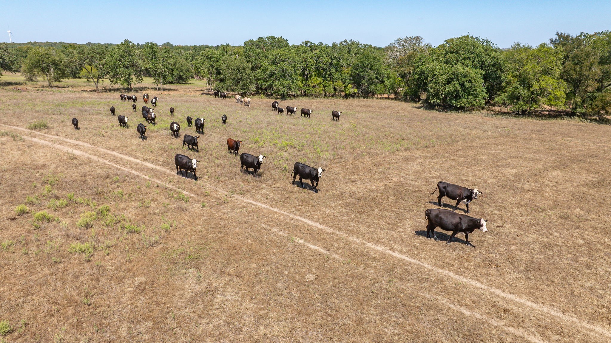 9815 County Road 401 Dublin TX 76446