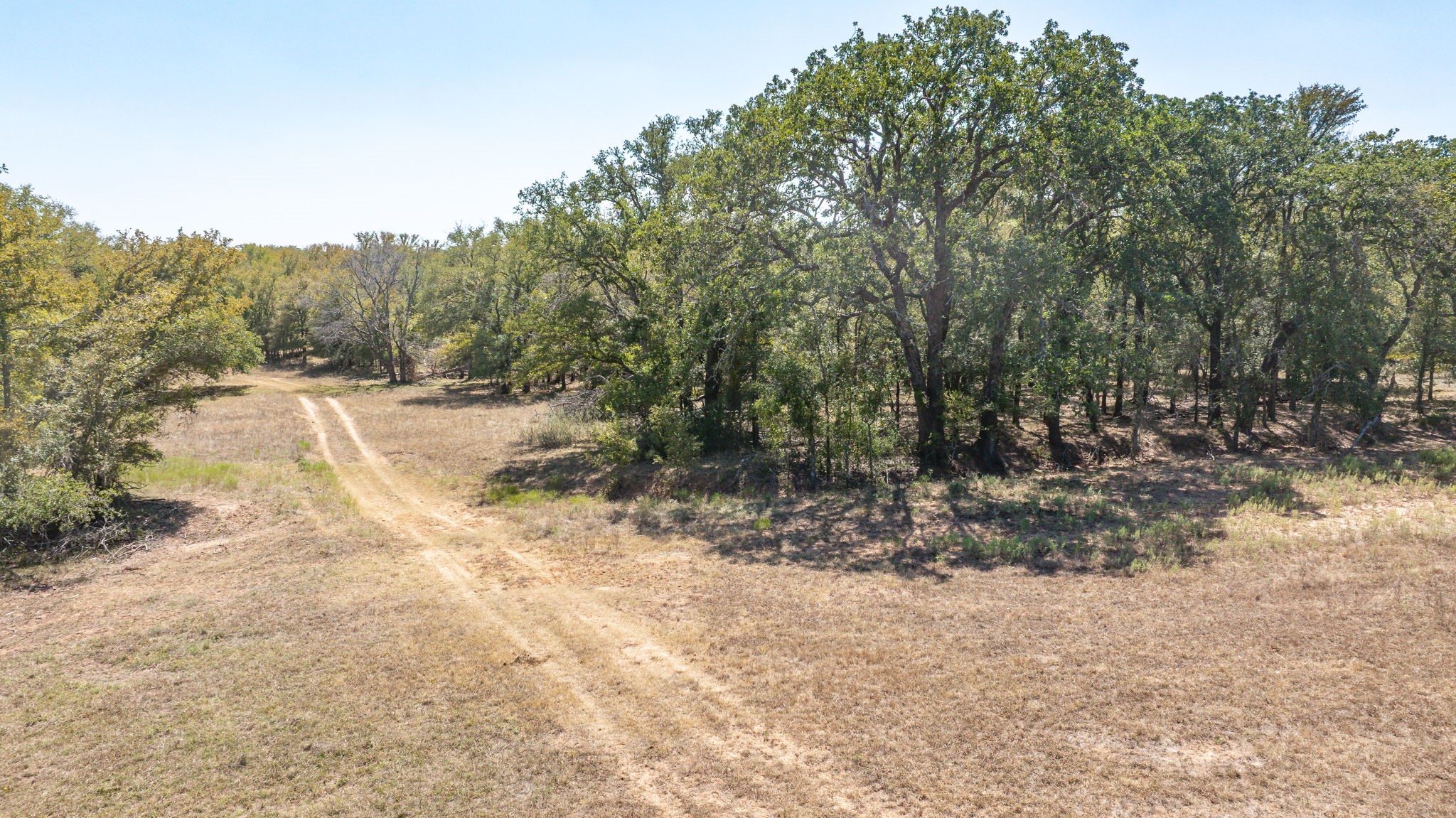9815 County Road 401 Dublin TX 76446