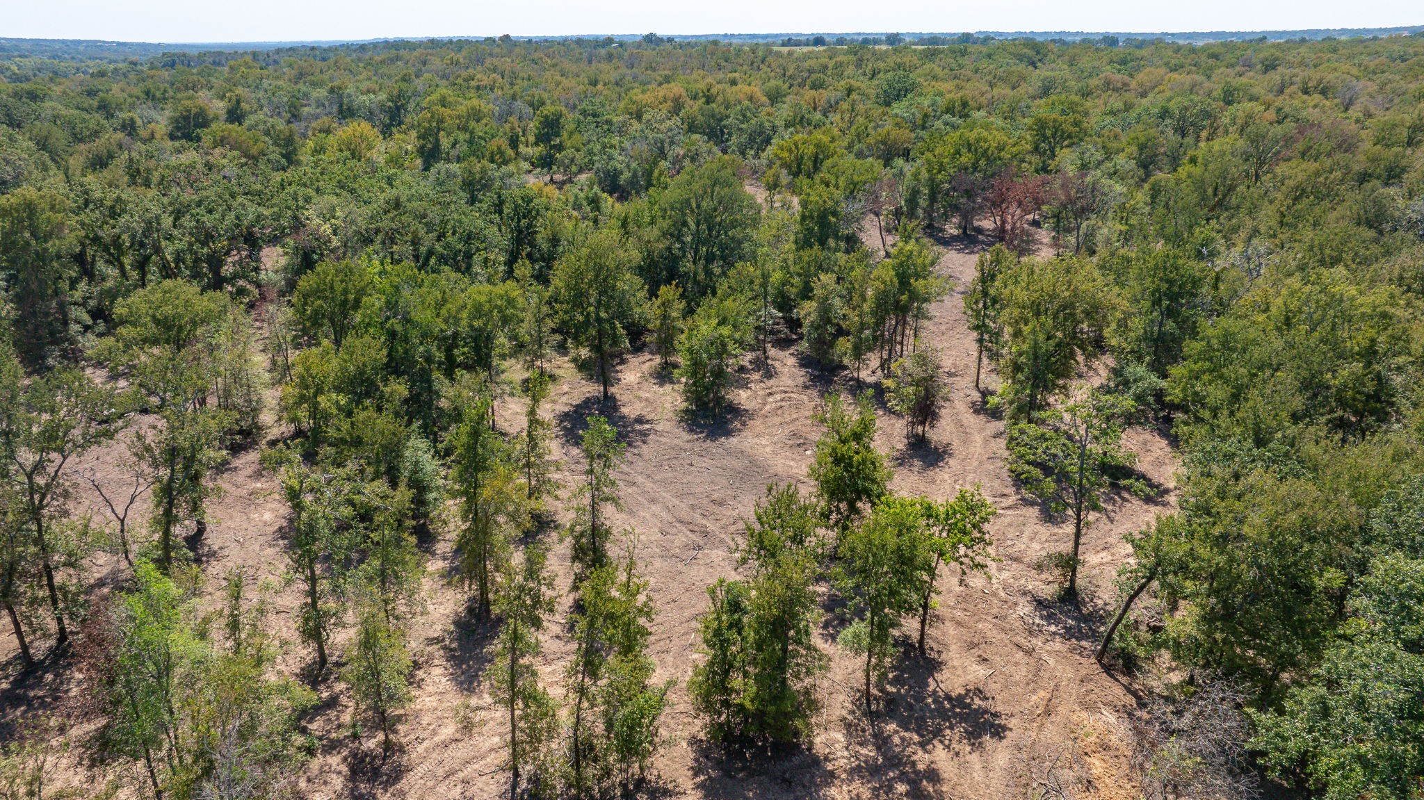 9815 County Road 401 Dublin TX 76446