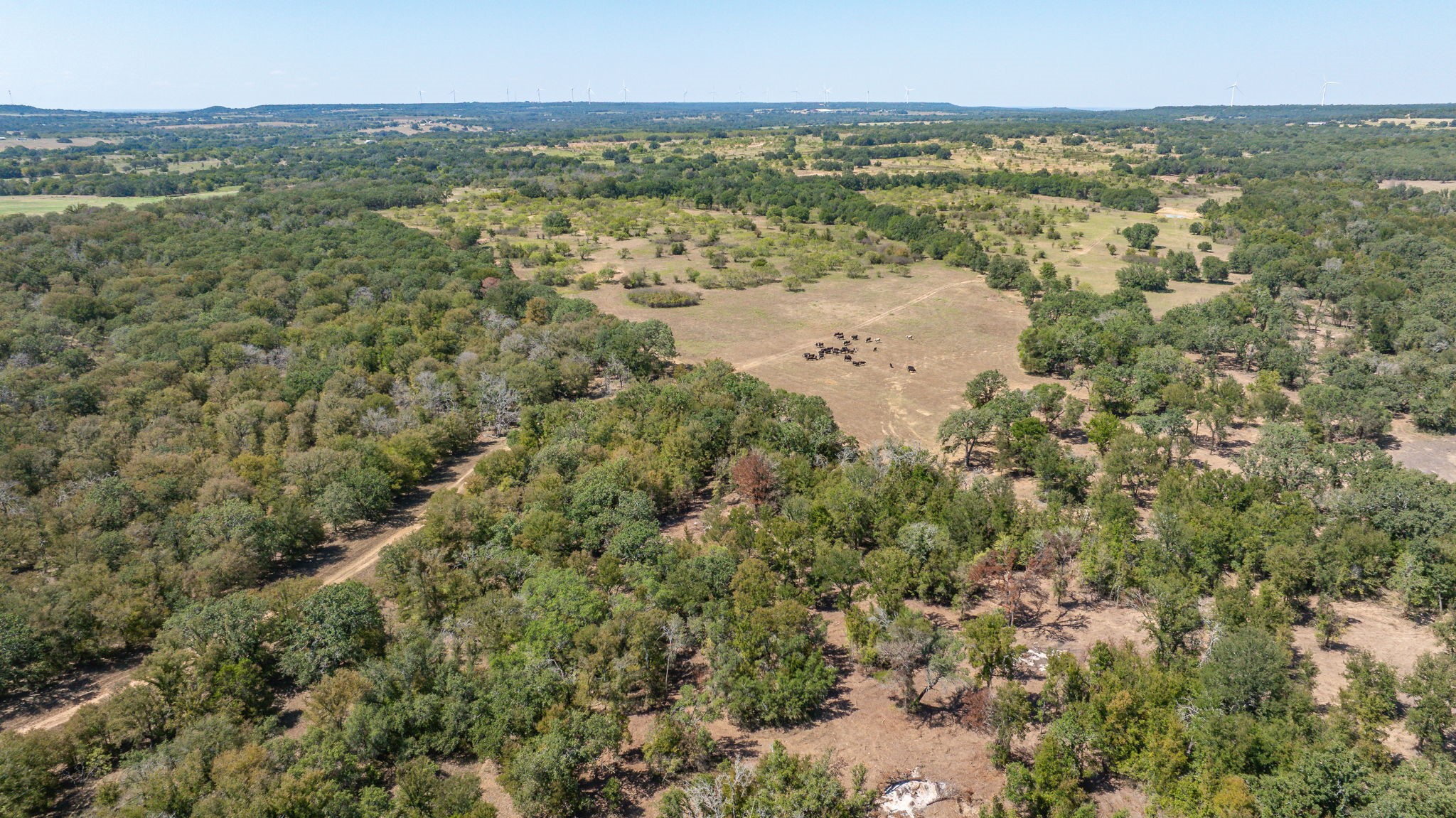 9815 County Road 401 Dublin TX 76446