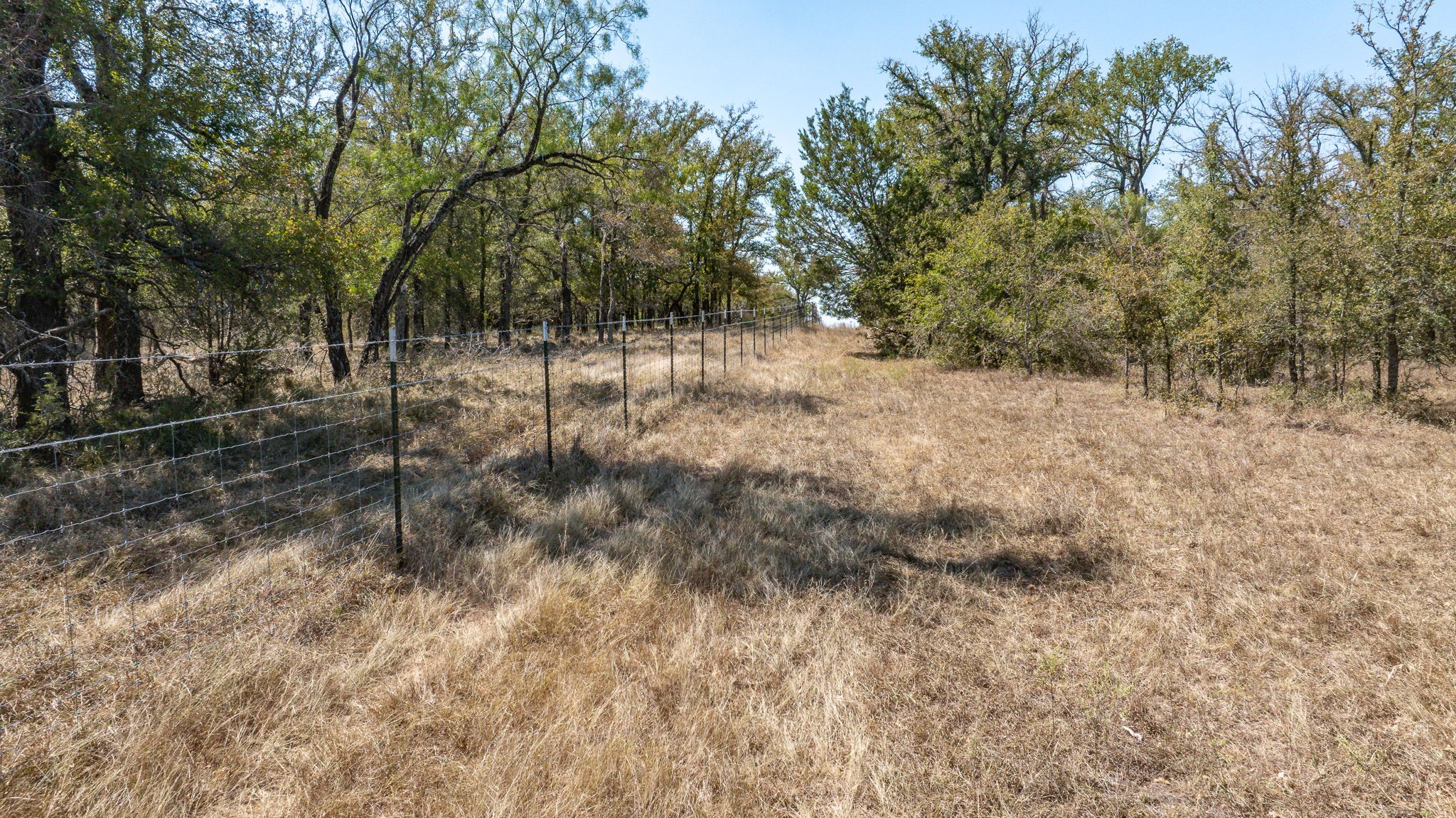 9815 County Road 401 Dublin TX 76446
