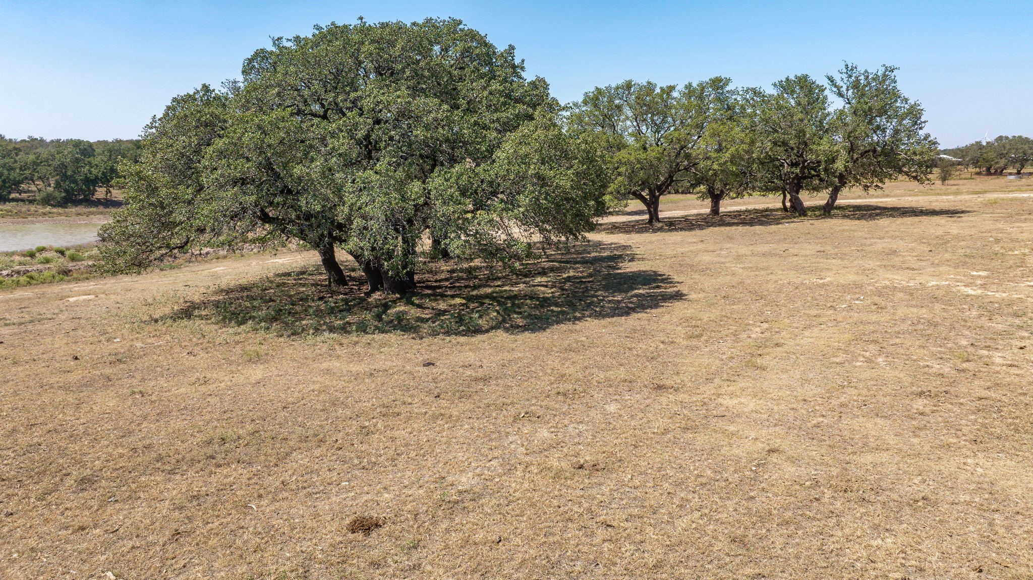 9815 County Road 401 Dublin TX 76446