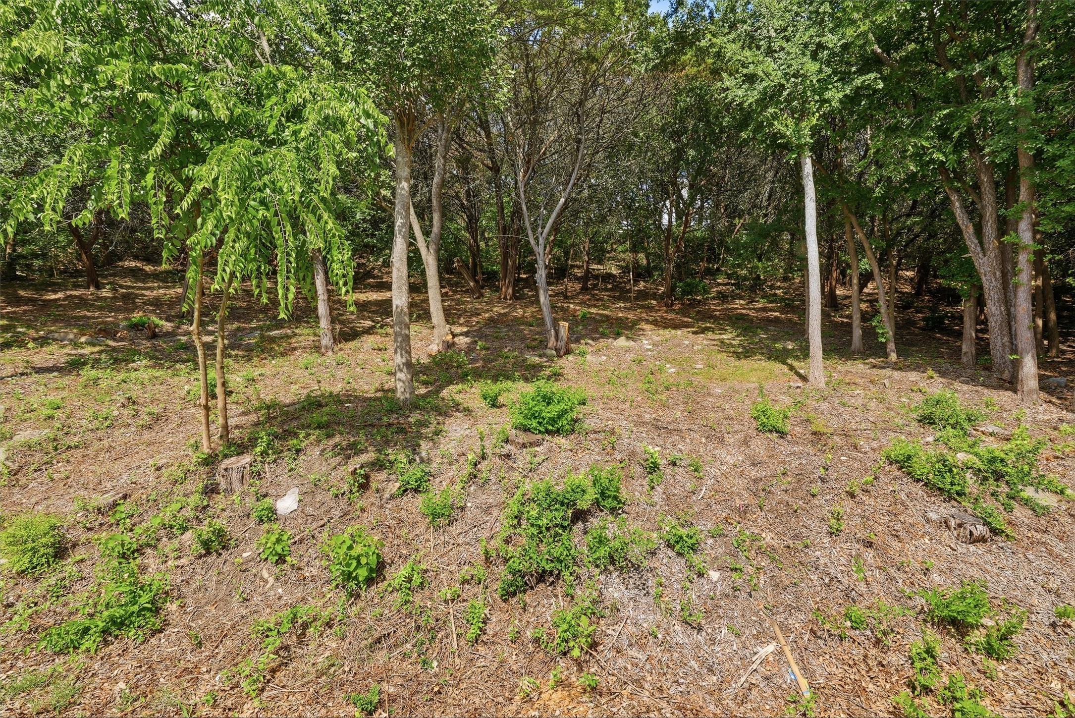 5036 Santa Elena Court De Cordova TX 76049