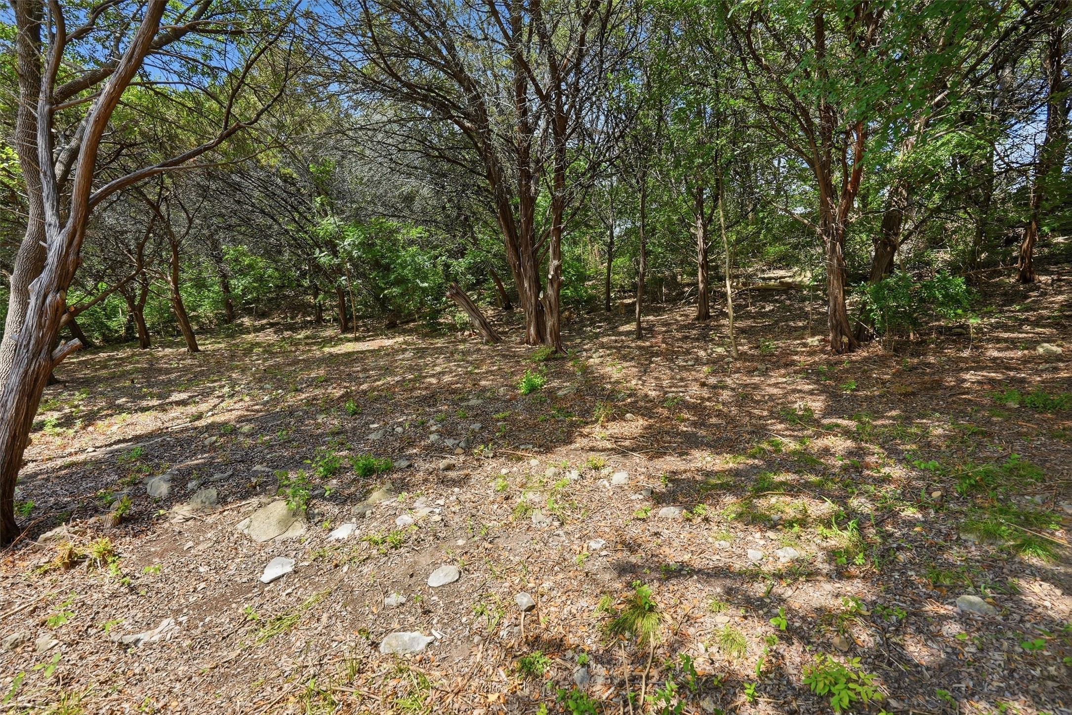 5036 Santa Elena Court De Cordova TX 76049