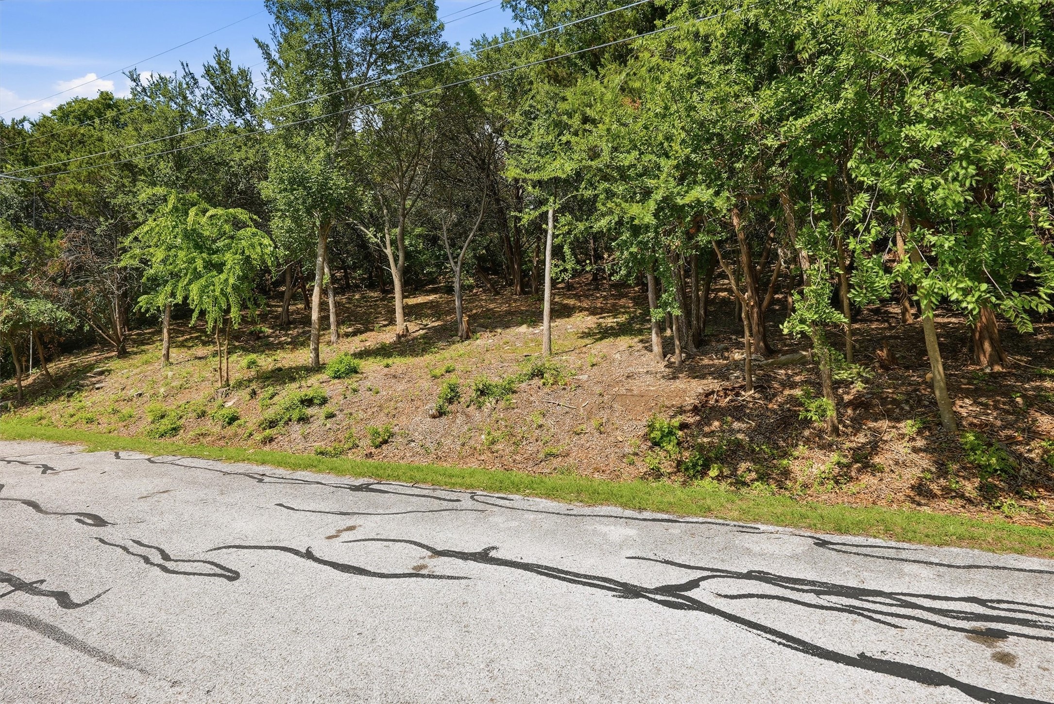 5036 Santa Elena Court De Cordova TX 76049
