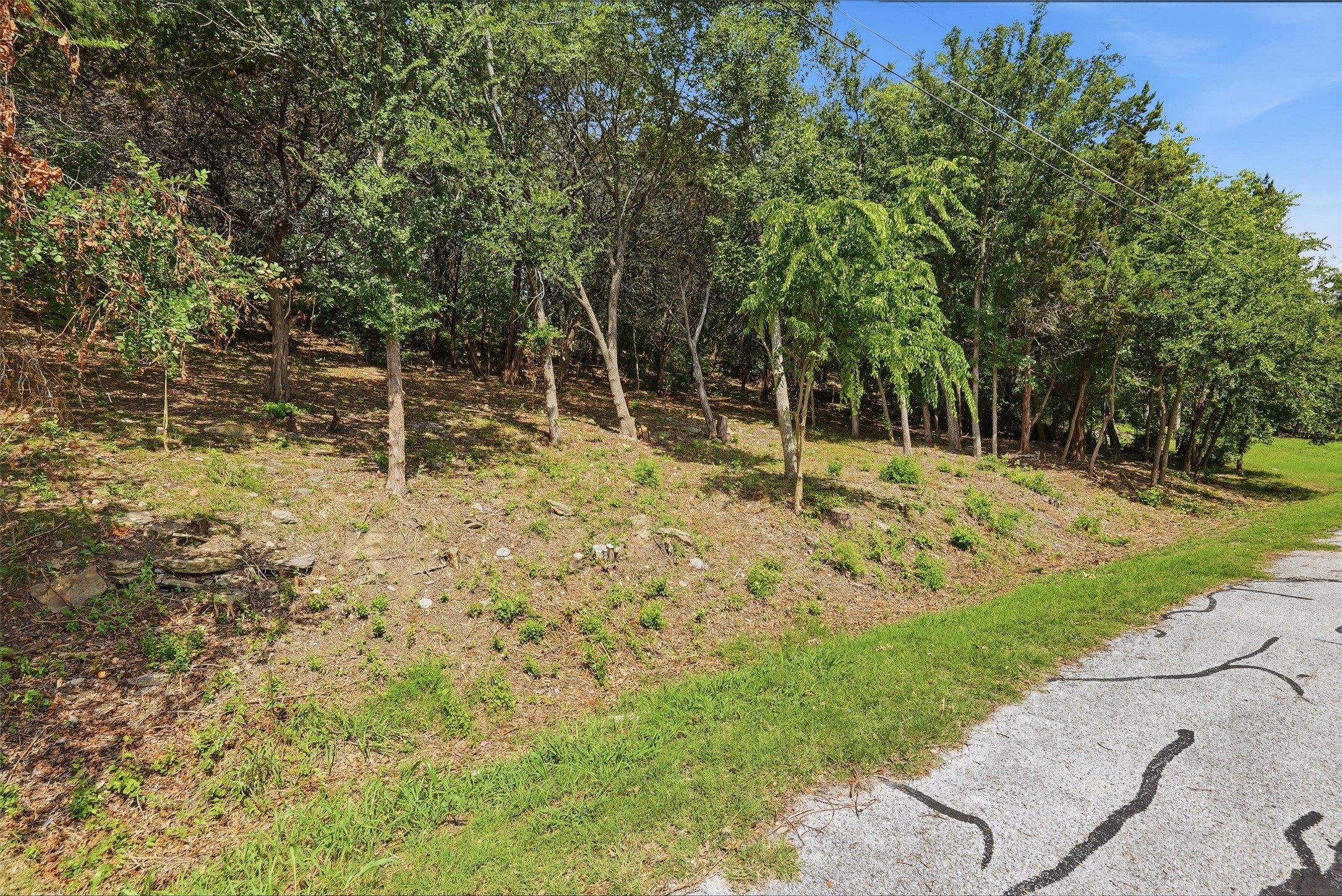 5036 Santa Elena Court De Cordova TX 76049