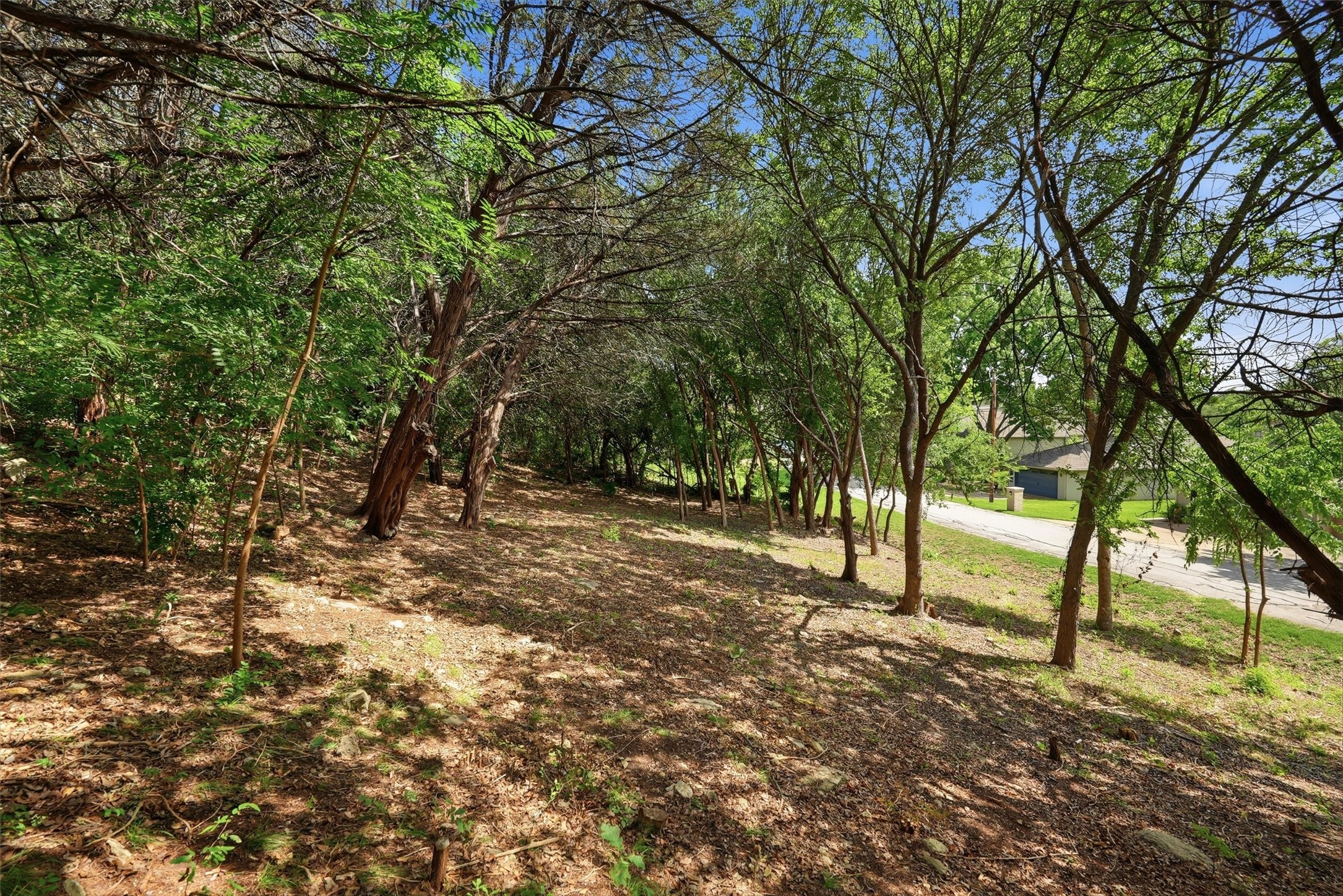 5036 Santa Elena Court De Cordova TX 76049