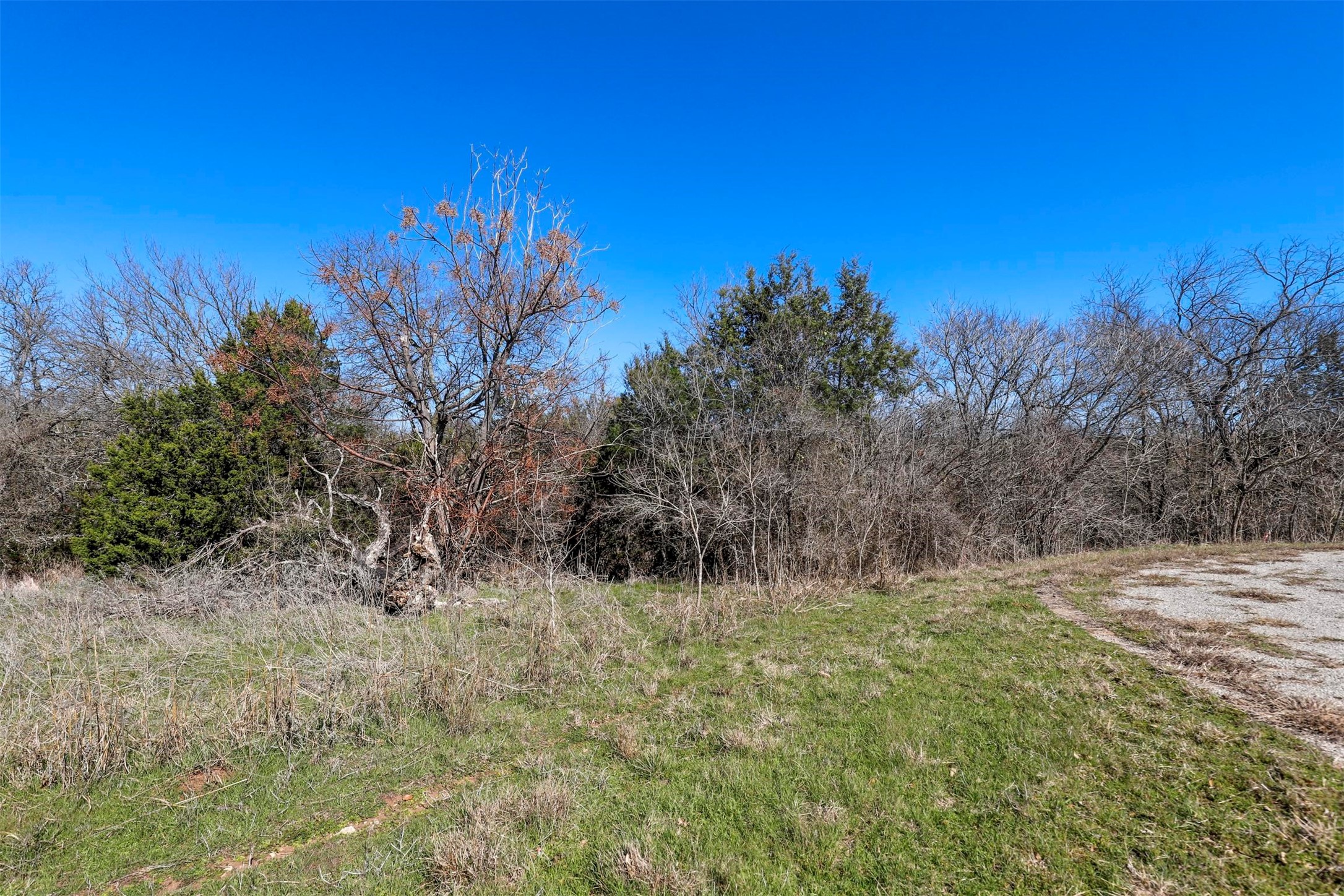 38108 Misty Ridge Drive Whitney TX 76692