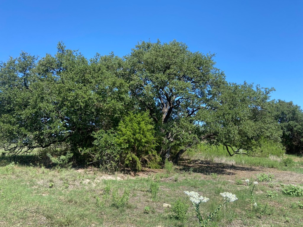 91 State Highway 16 S Goldthwaite TX 76844