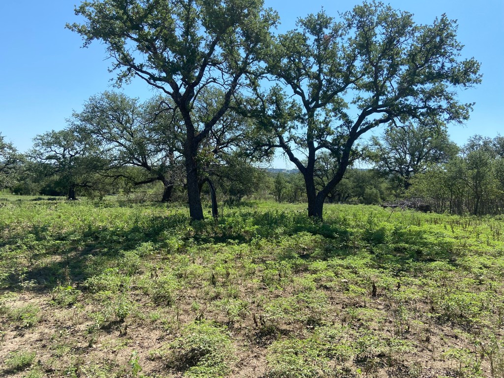 91 State Highway 16 S Goldthwaite TX 76844