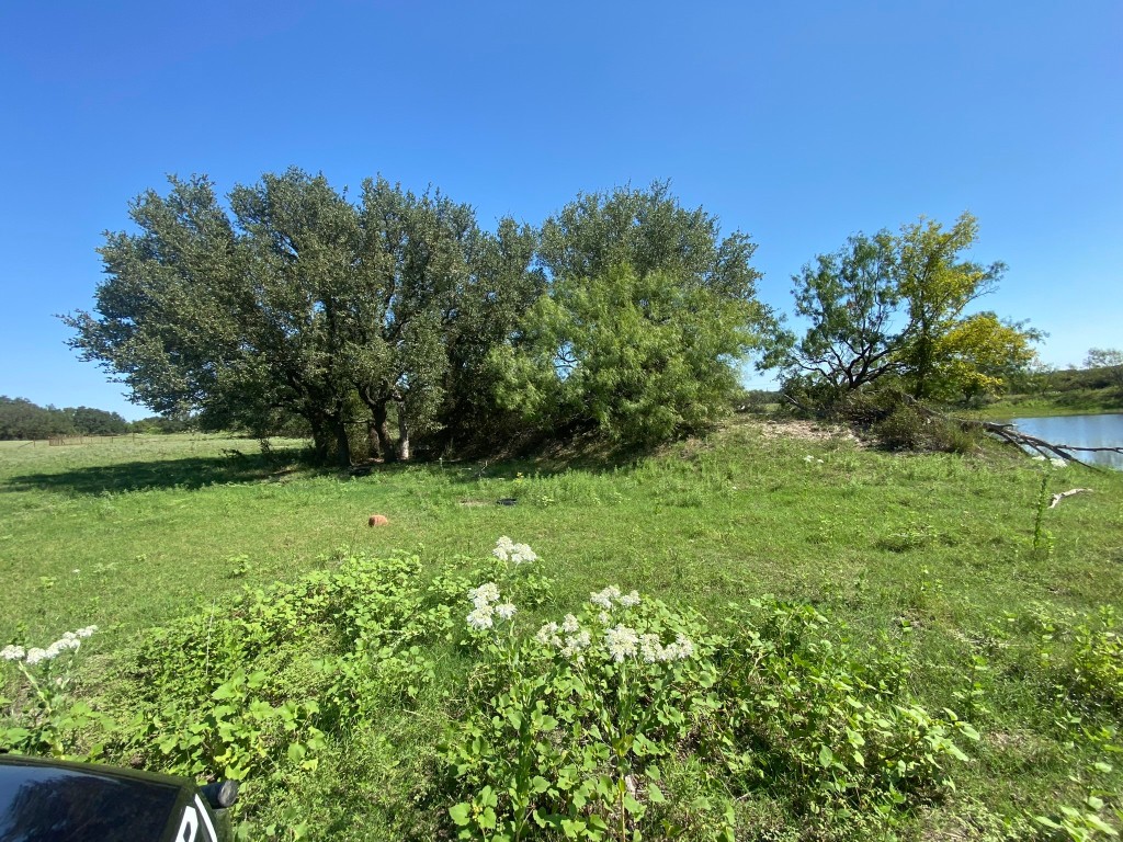 91 State Highway 16 S Goldthwaite TX 76844