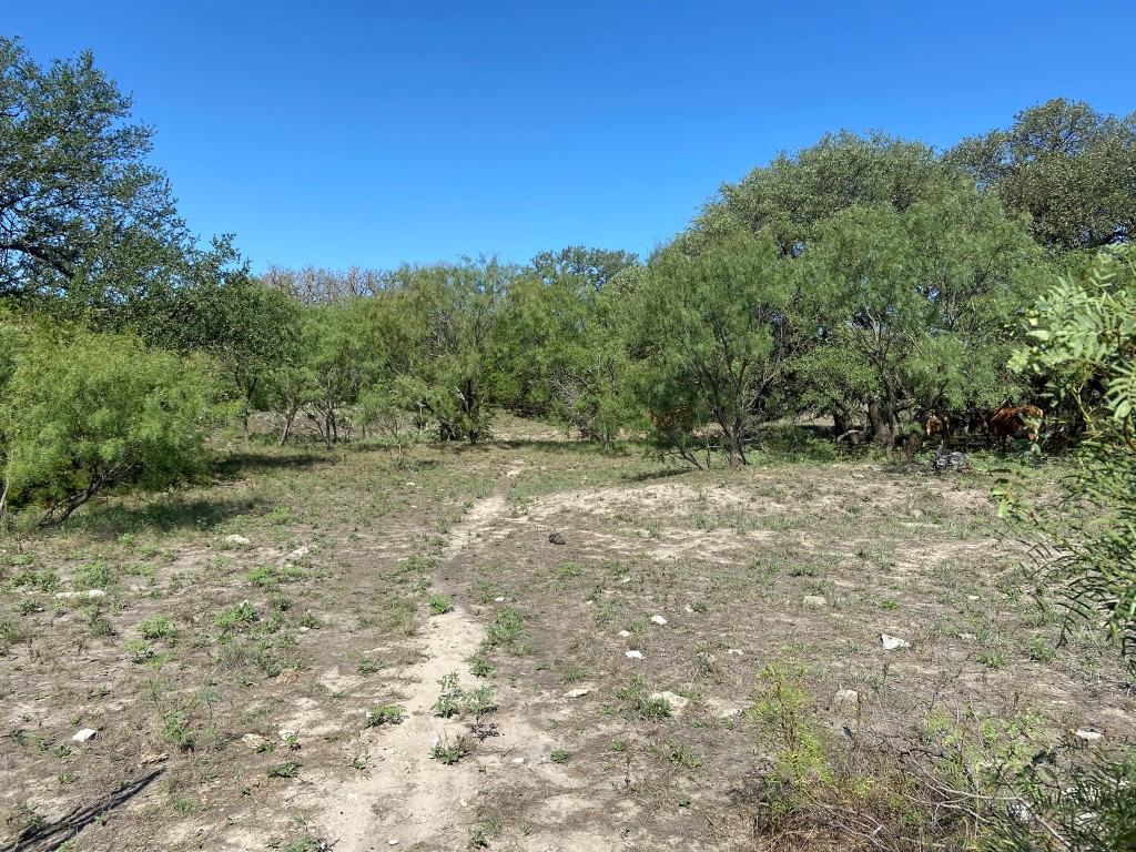 91 State Highway 16 S Goldthwaite TX 76844