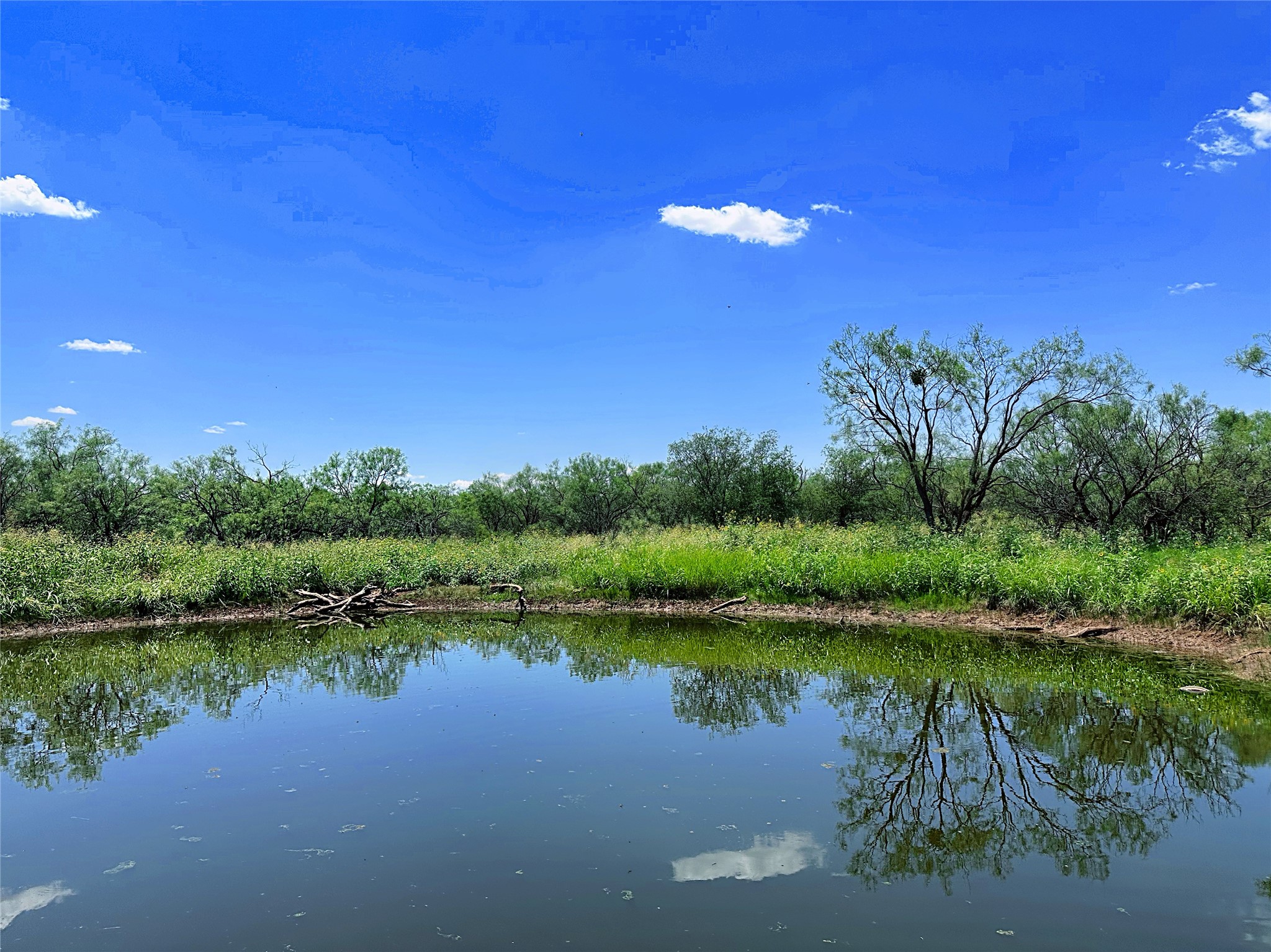 Tbd (WEST Tract) County Road 356 Anson TX 79501