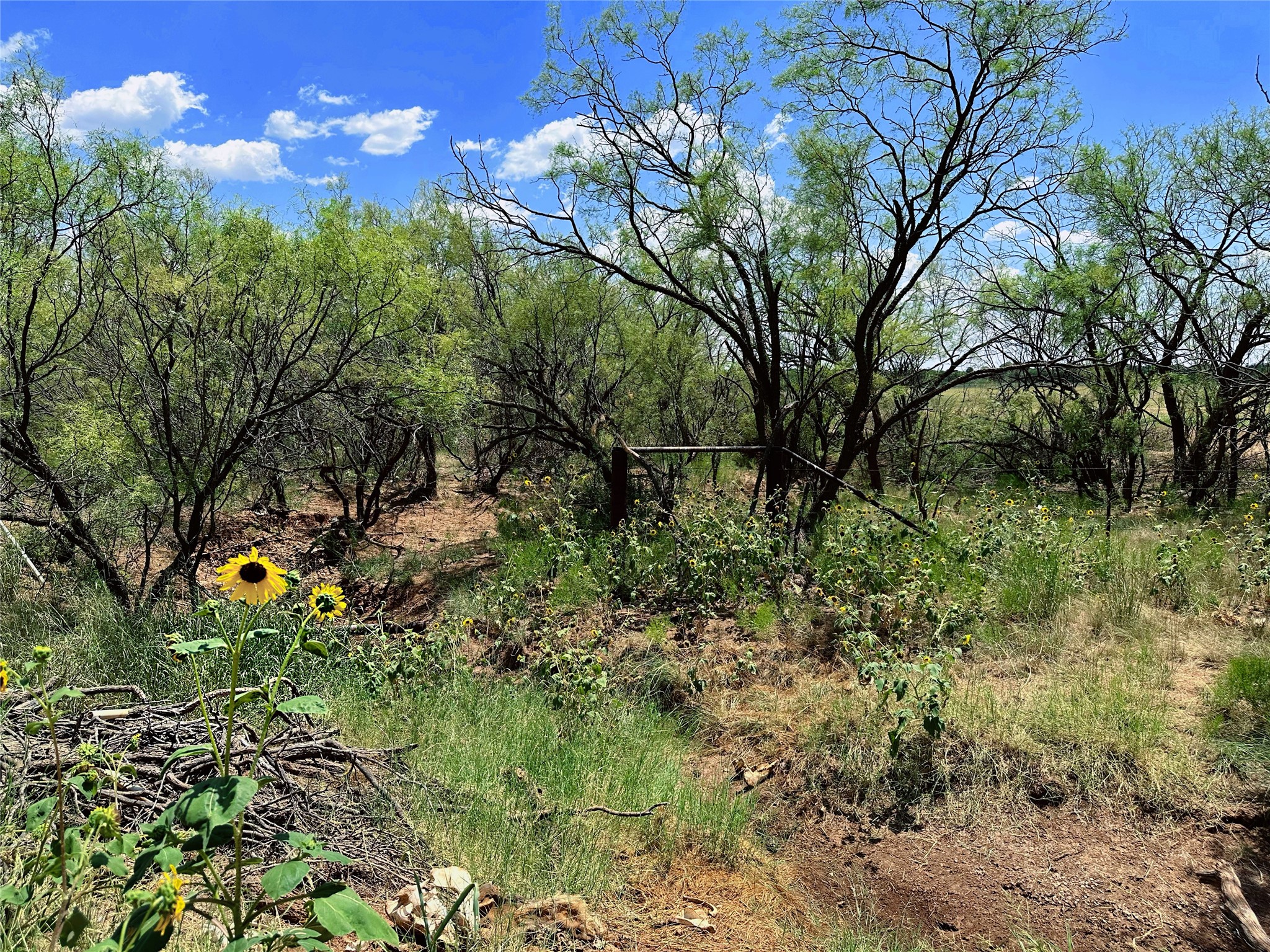 Tbd (WEST Tract) County Road 356 Anson TX 79501