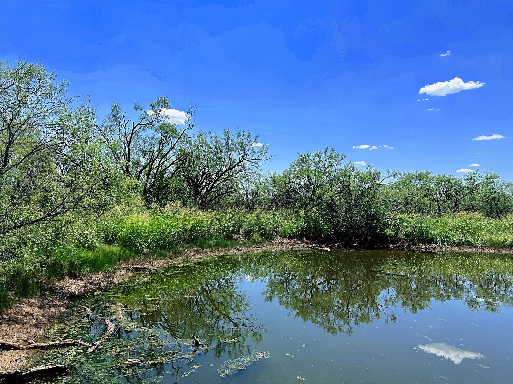 Tbd (WEST Tract) County Road 356 Anson TX 79501