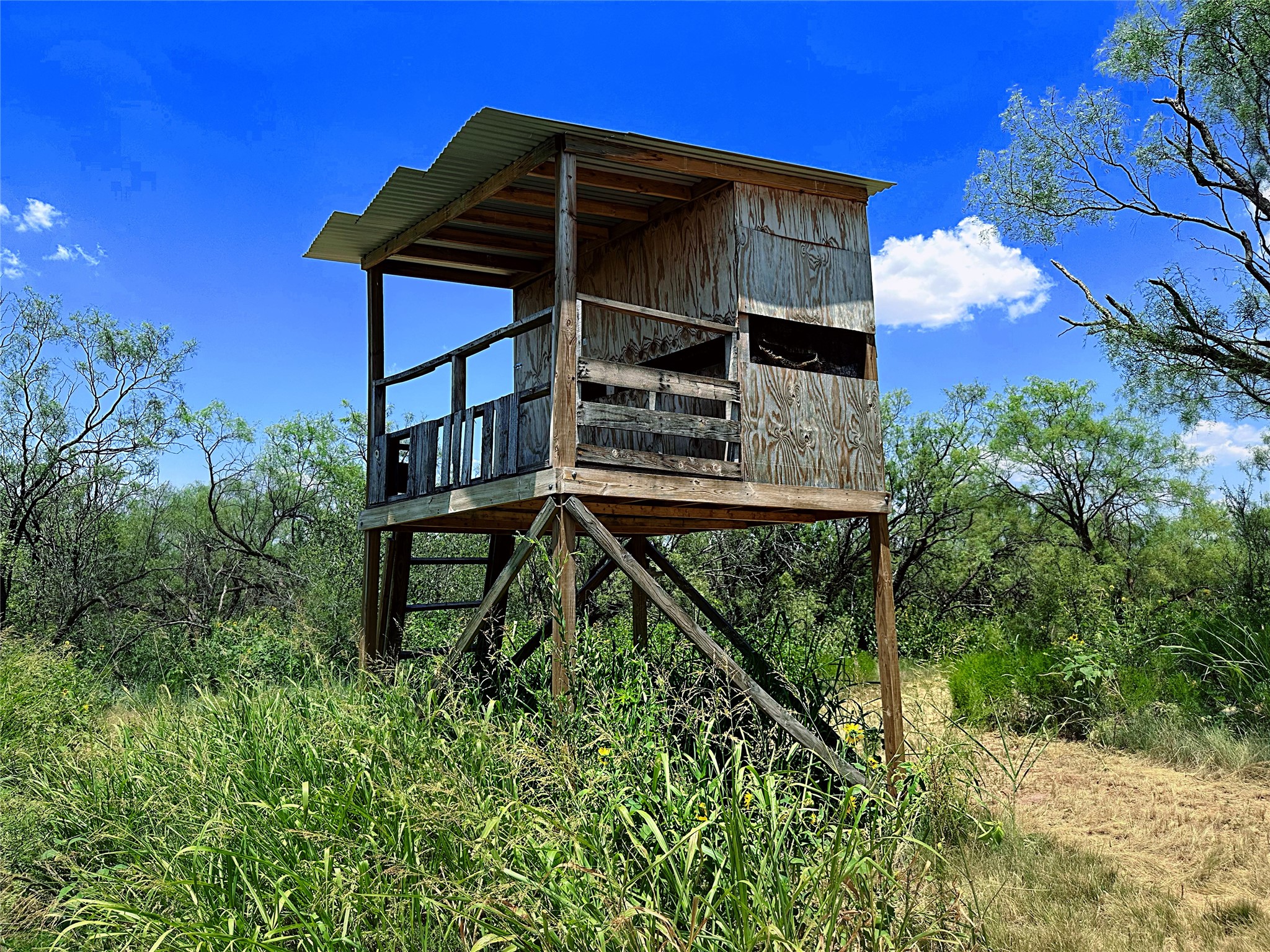Tbd (WEST Tract) County Road 356 Anson TX 79501