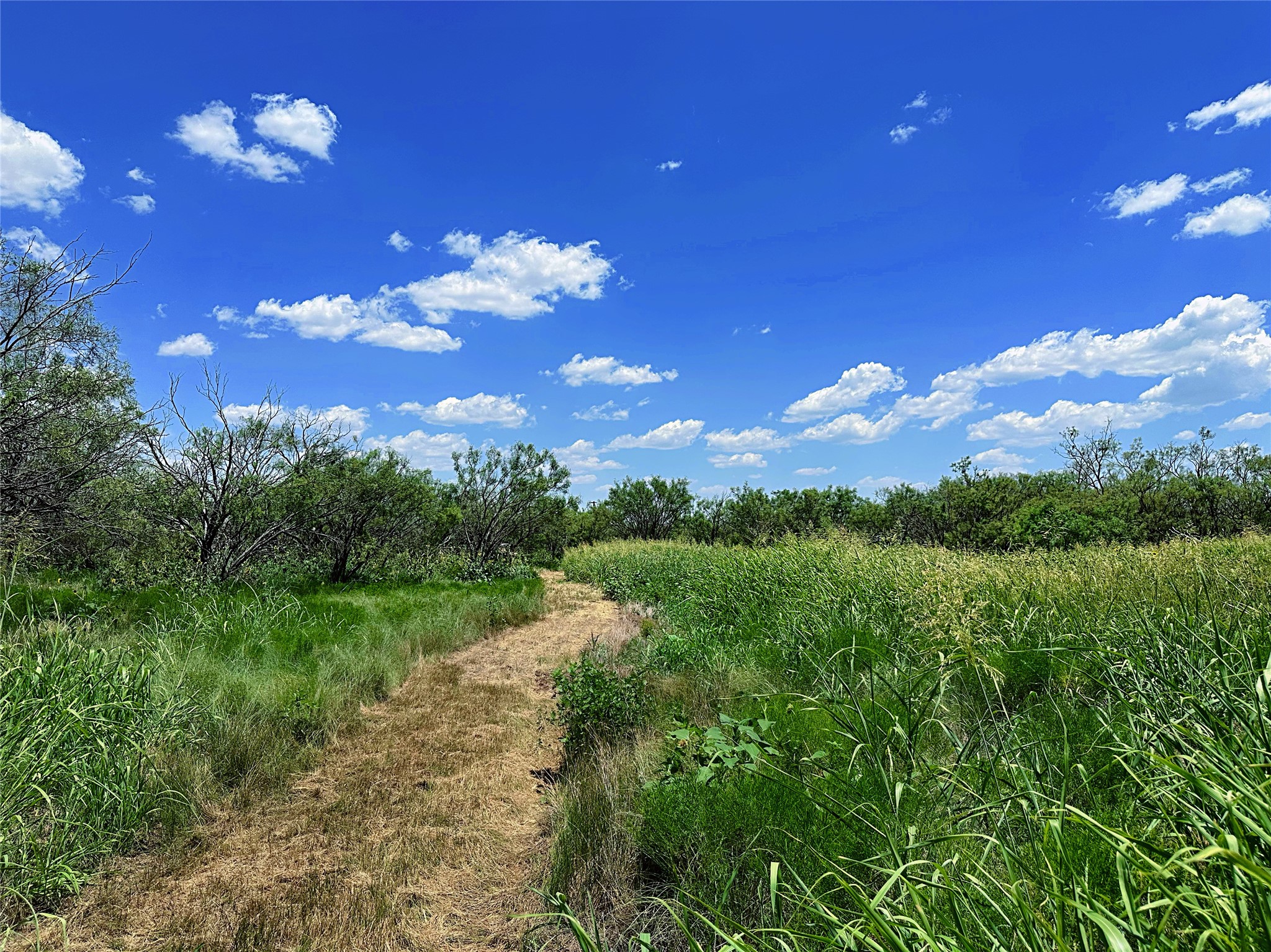 Tbd (WEST Tract) County Road 356 Anson TX 79501