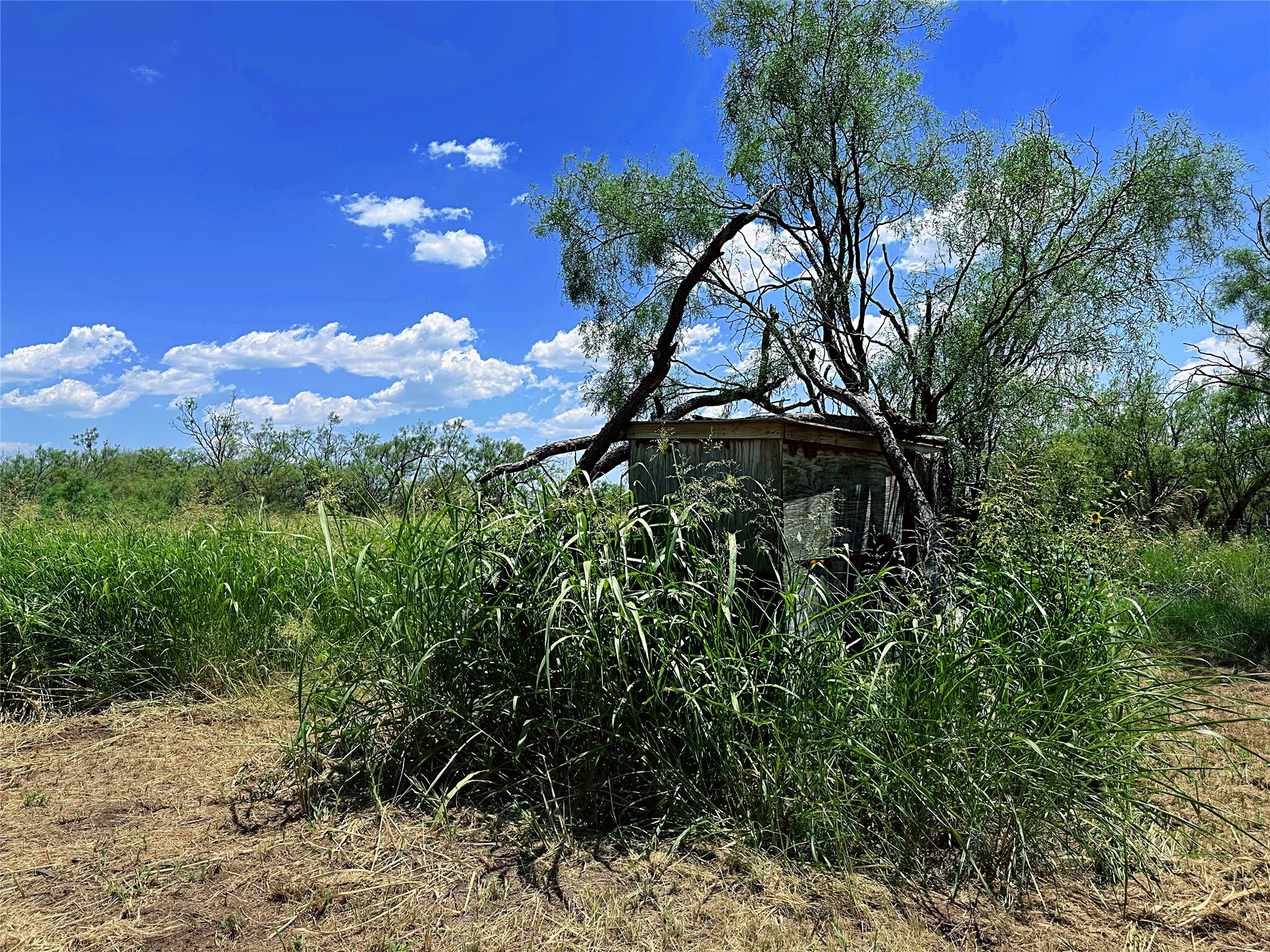 Tbd (WEST Tract) County Road 356 Anson TX 79501