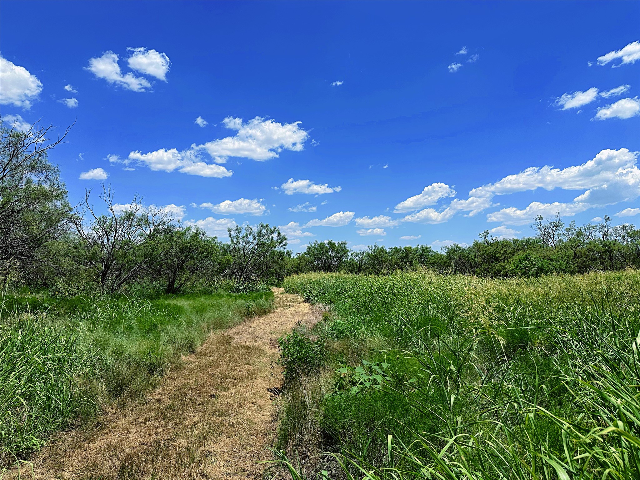 Tbd (WEST Tract) County Road 356 Anson TX 79501