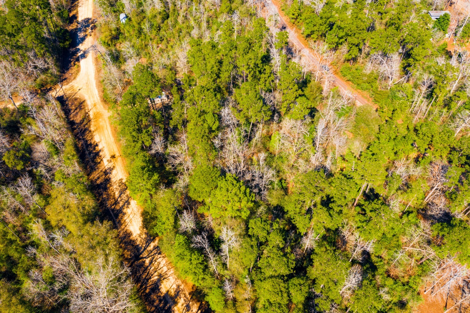 Lot 35 N Friar Tuck Drive Woodville TX 75979
