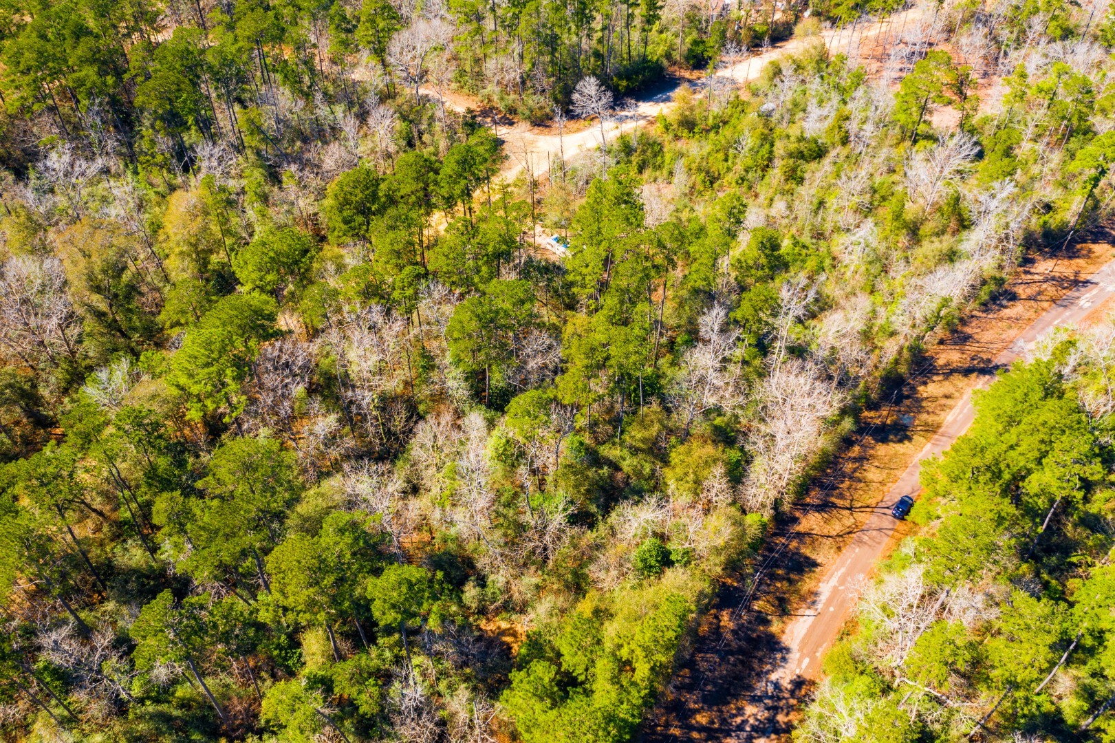 Lot 35 N Friar Tuck Drive Woodville TX 75979