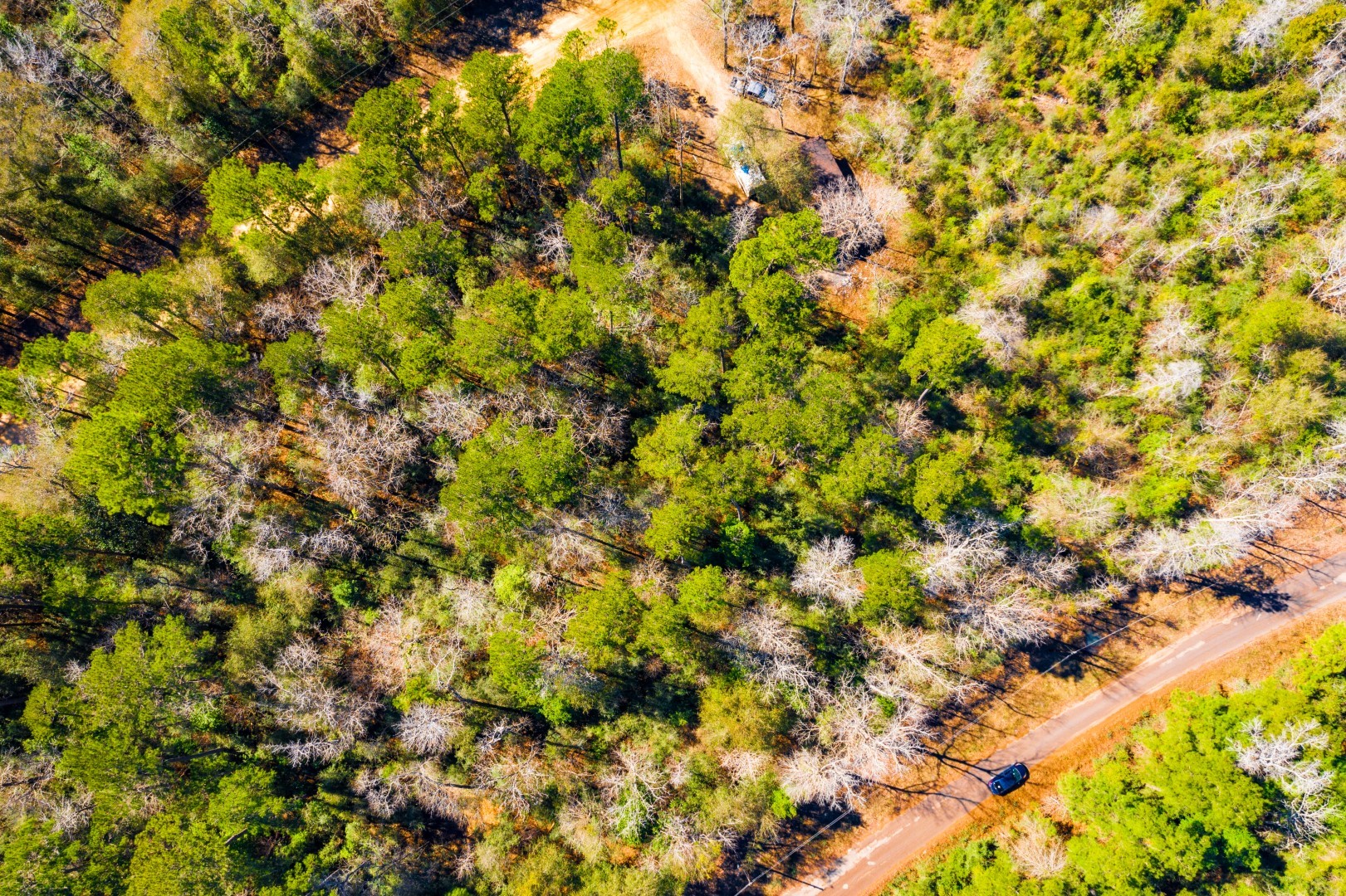 Lot 35 N Friar Tuck Drive Woodville TX 75979