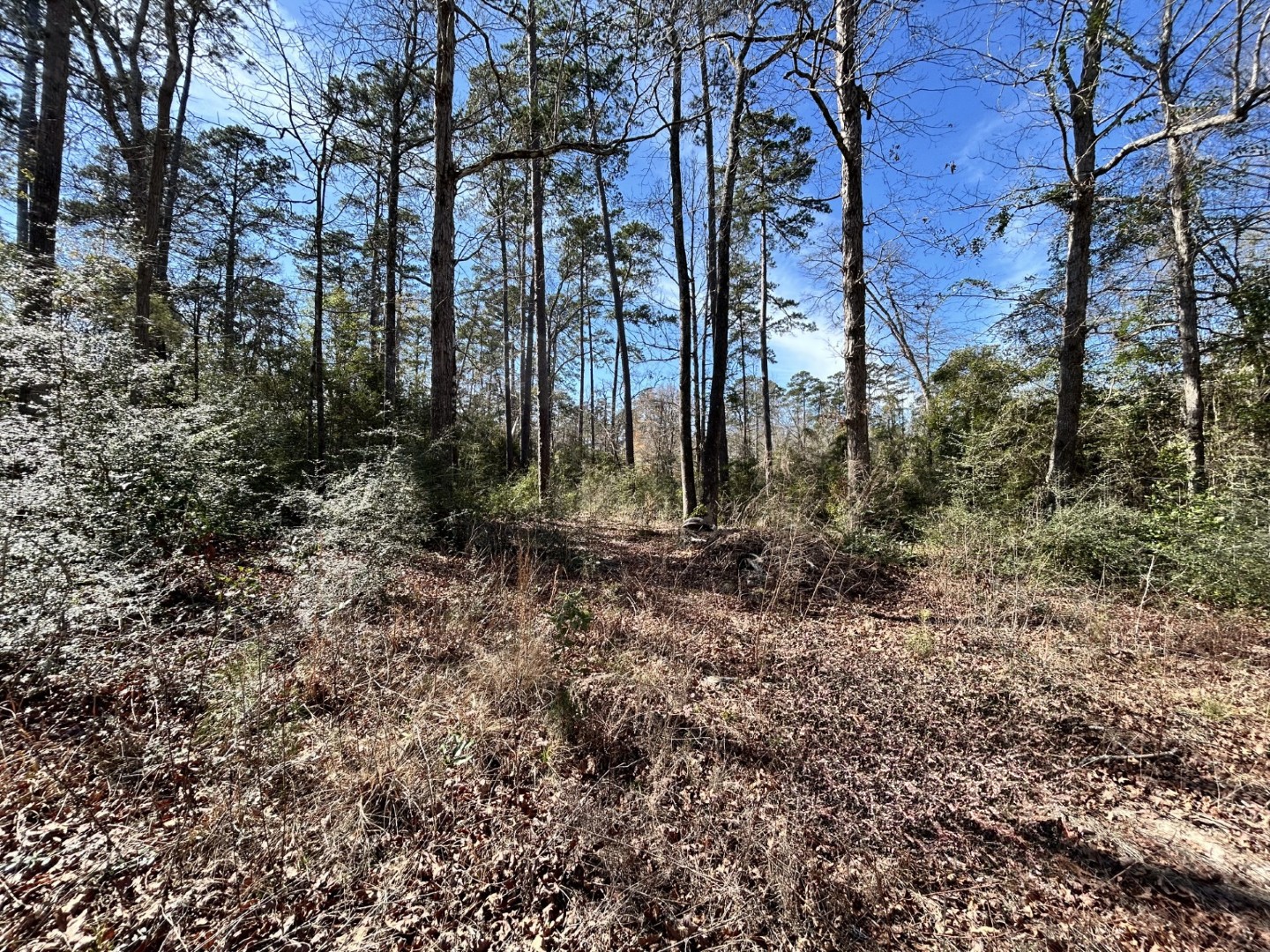 Lot 35 N Friar Tuck Drive Woodville TX 75979