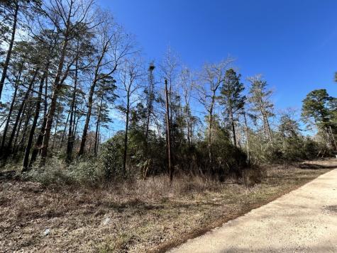 Lot 35 N Friar Tuck Drive Woodville TX 75979
